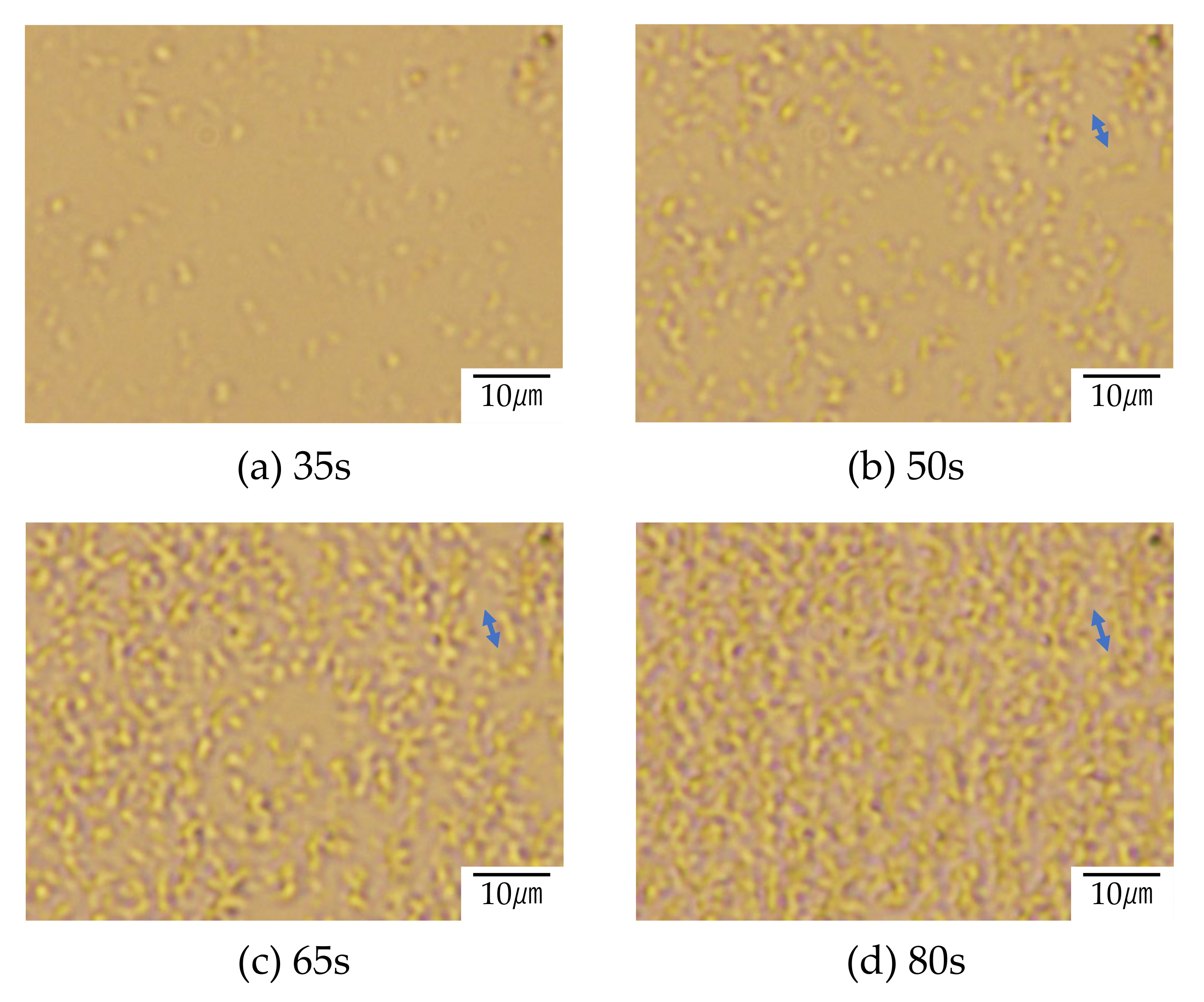 Polymers 12 02730 g008