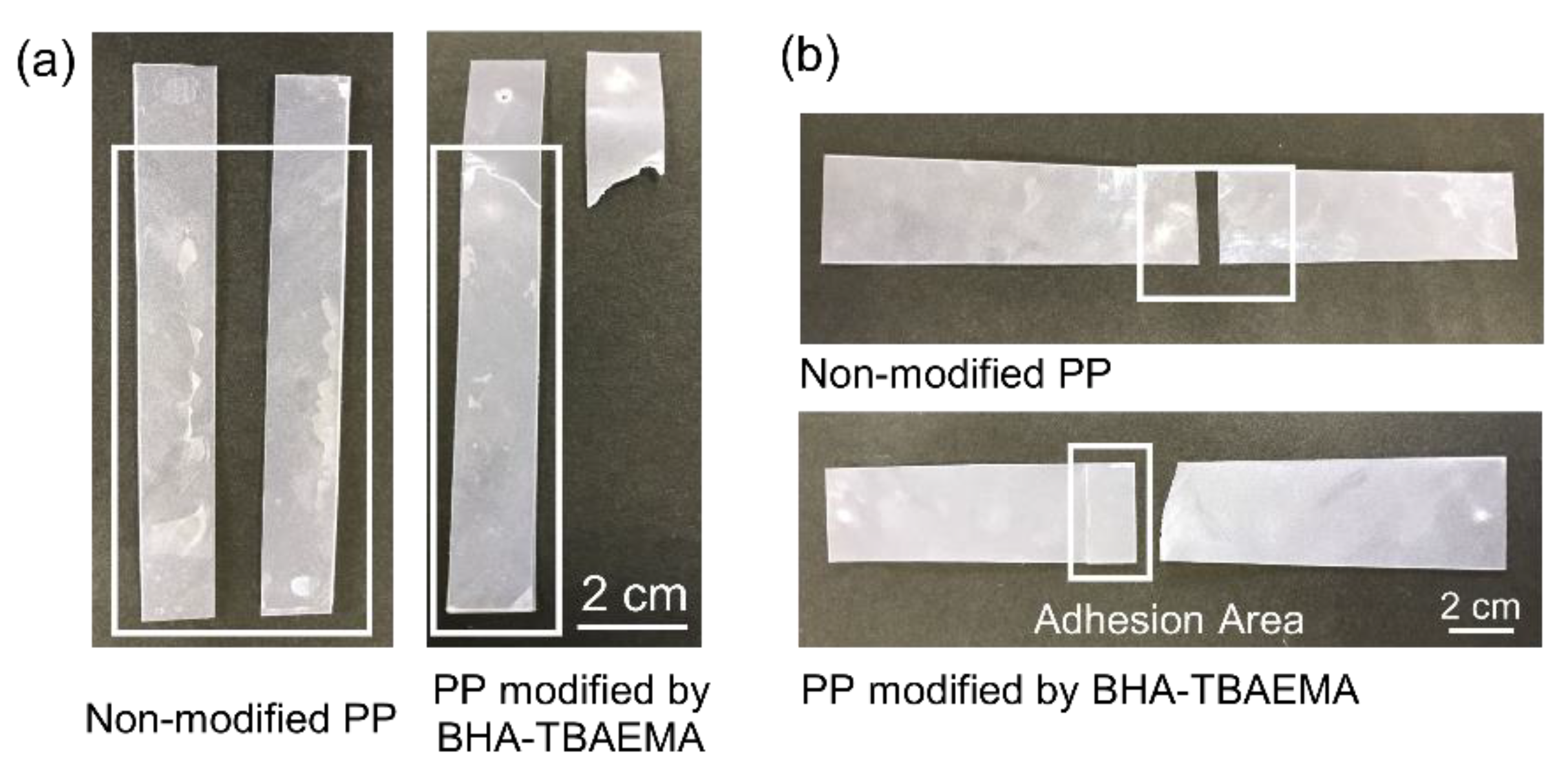 Polymers 12 02736 g004