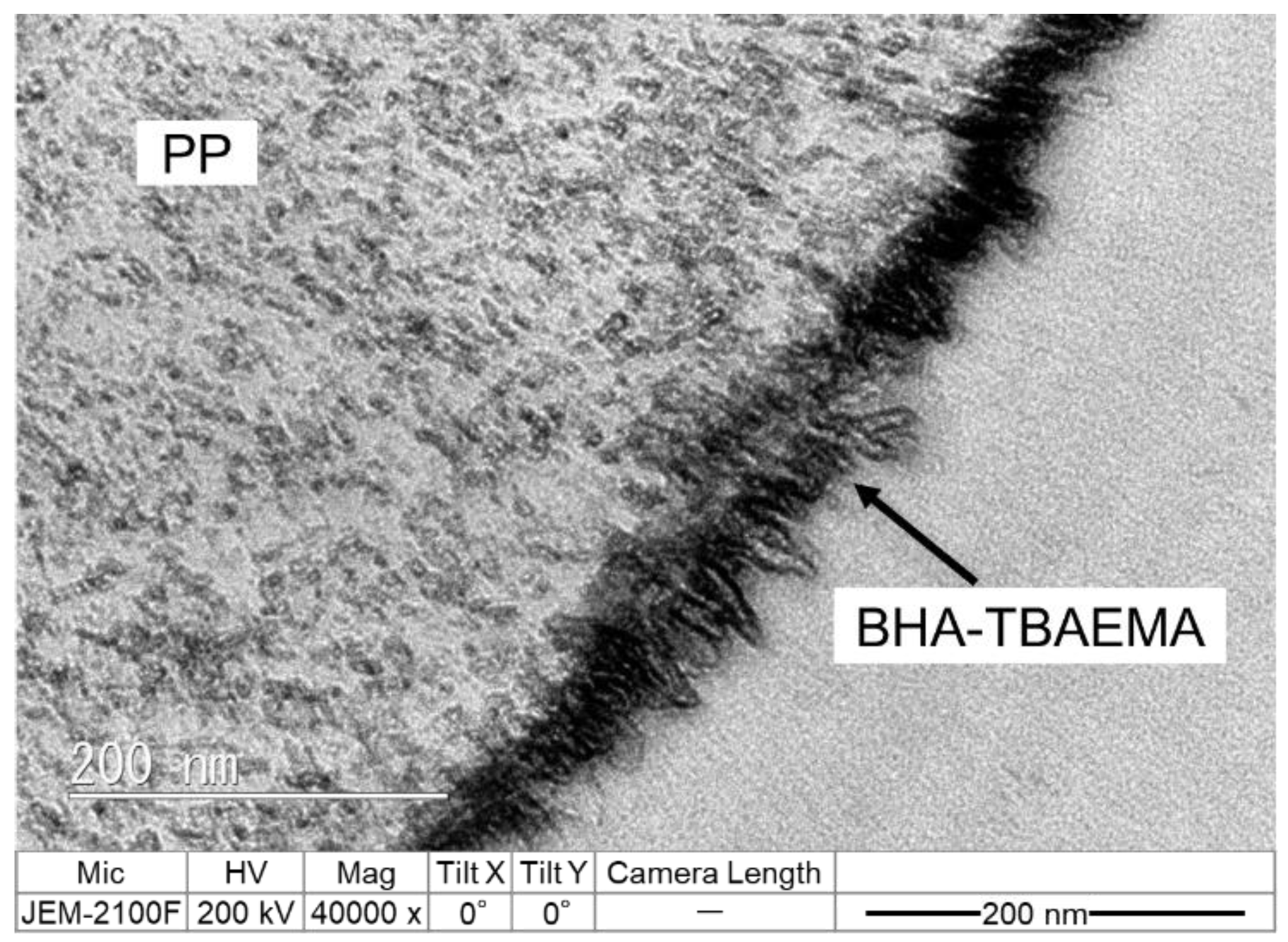 Polymers 12 02736 g007