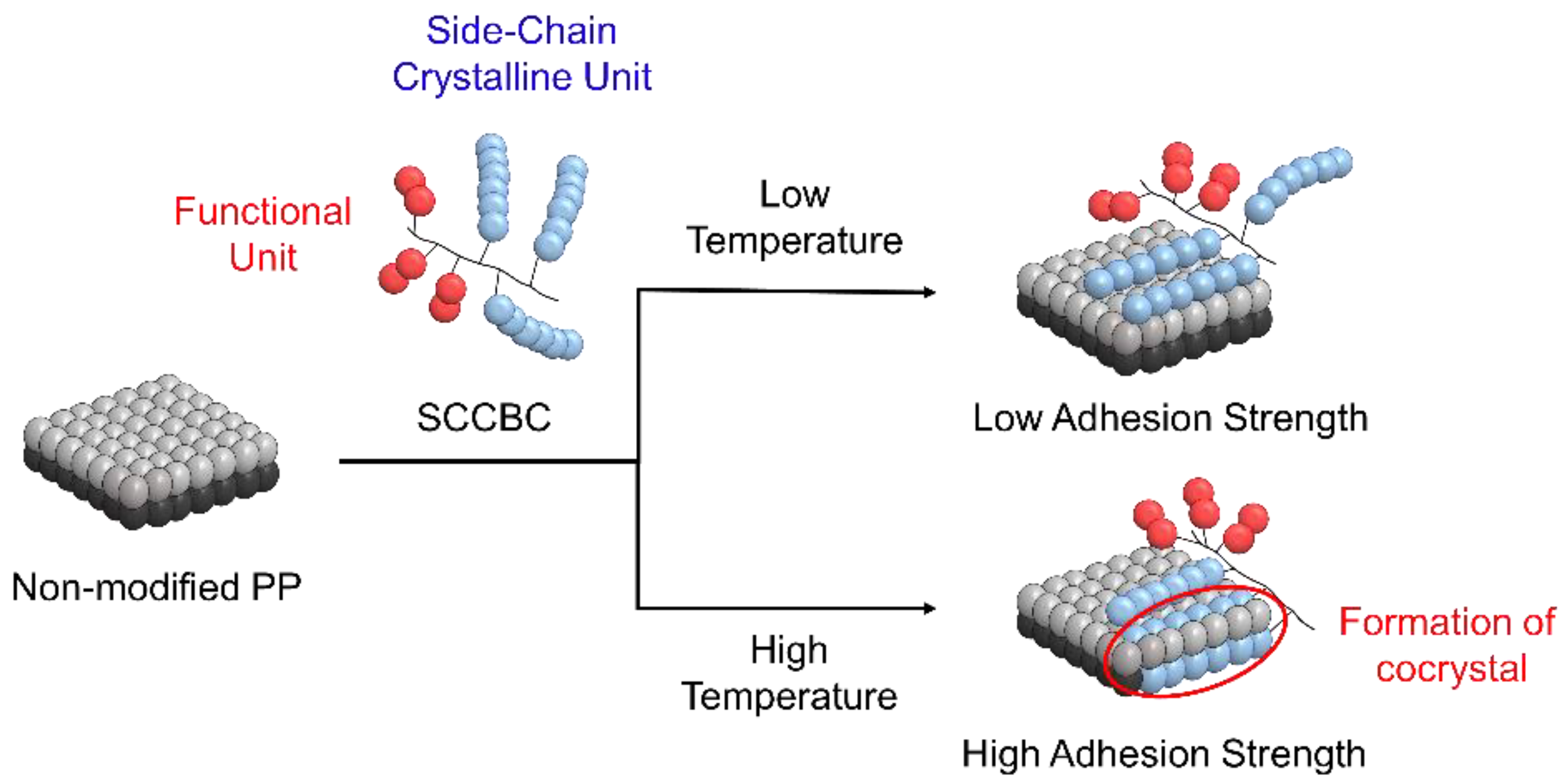 Polymers 12 02736 g009