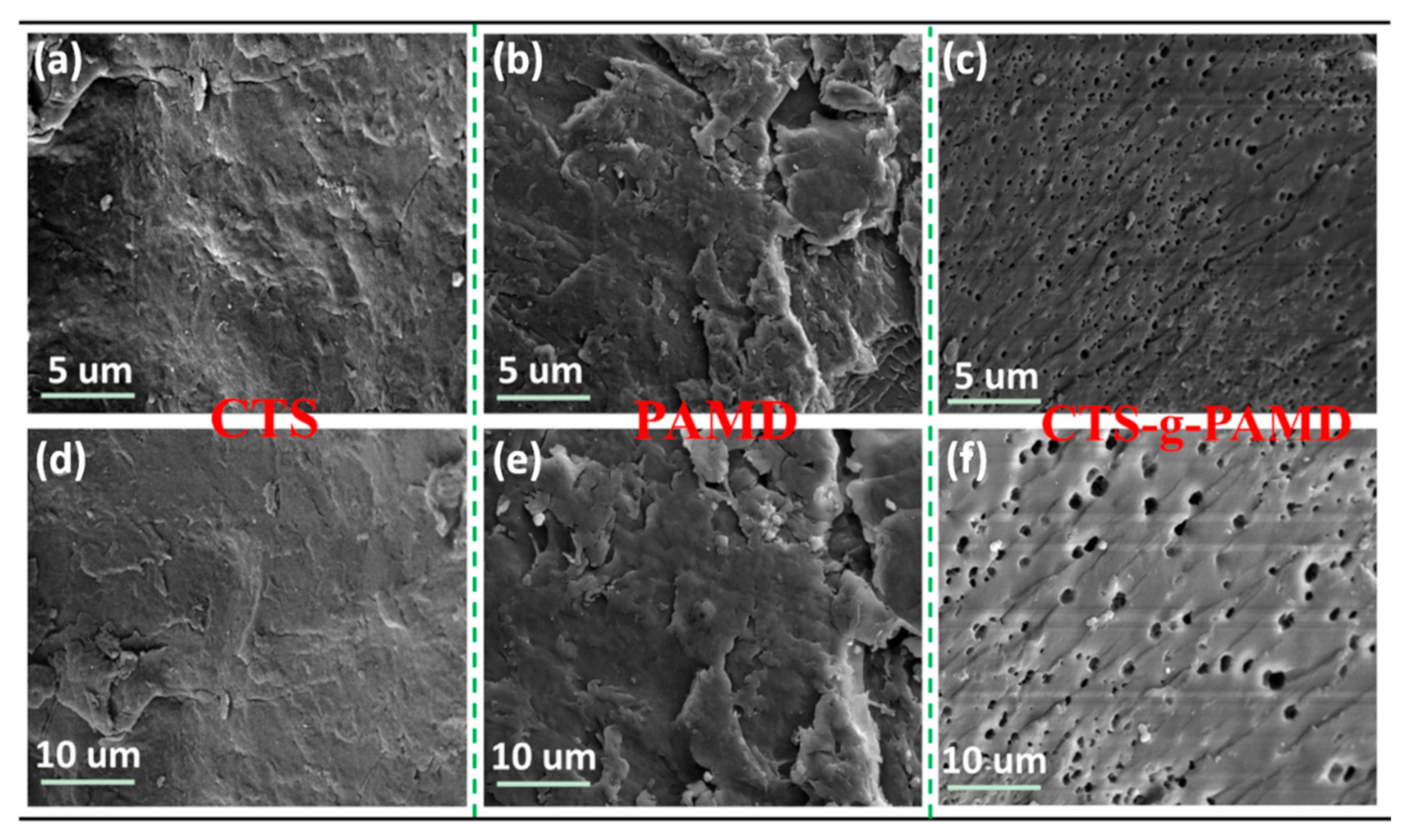 Polymers 12 02738 g006