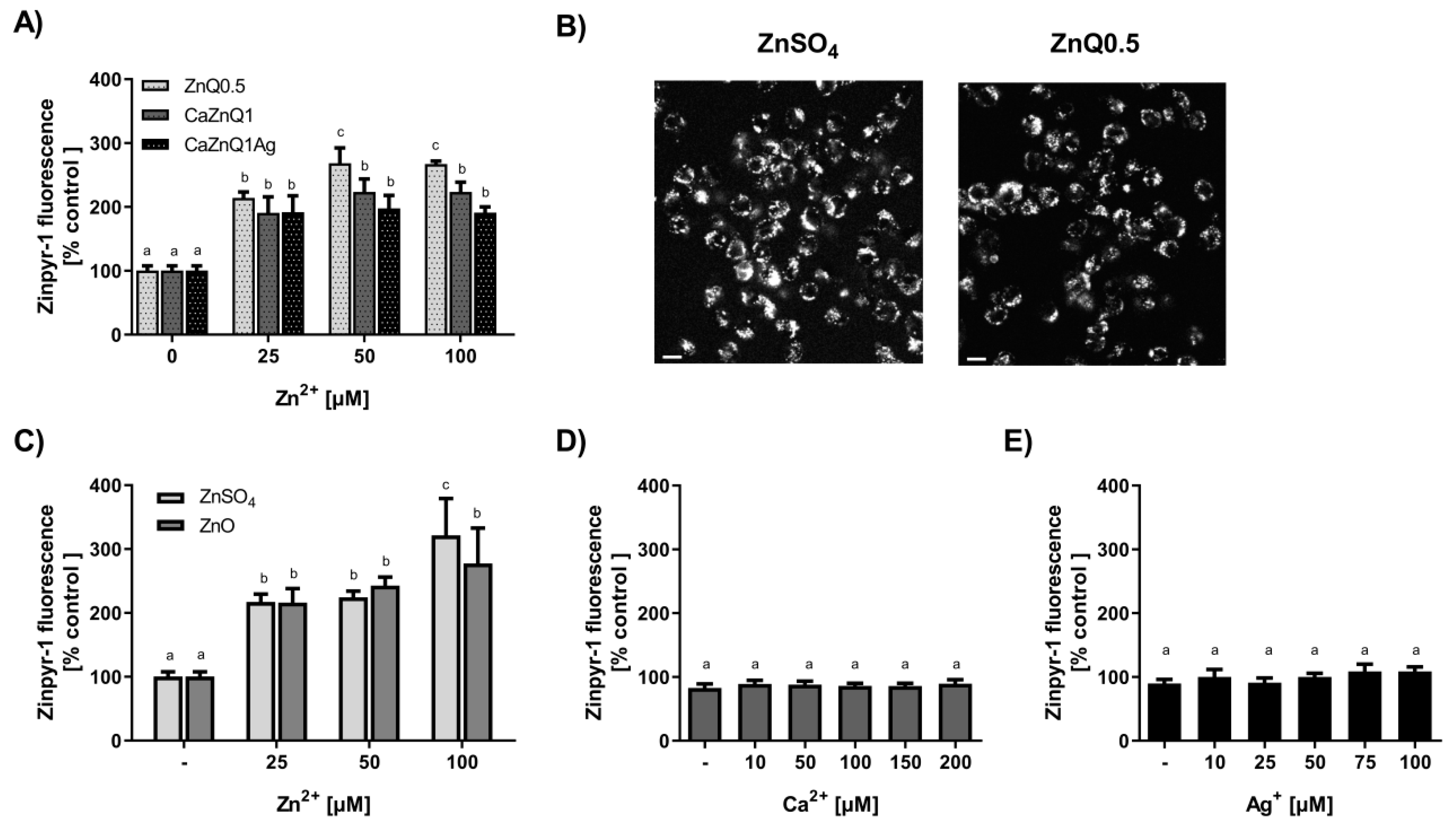 Polymers 12 02741 g005