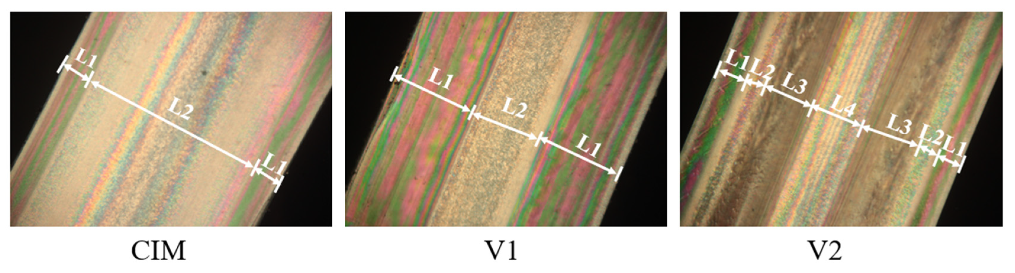 Polymers 12 02746 g002