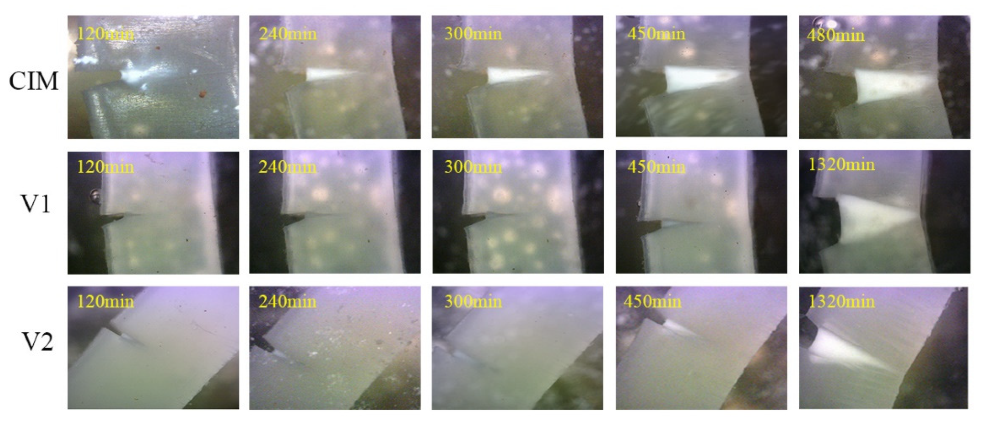 Polymers 12 02746 g005