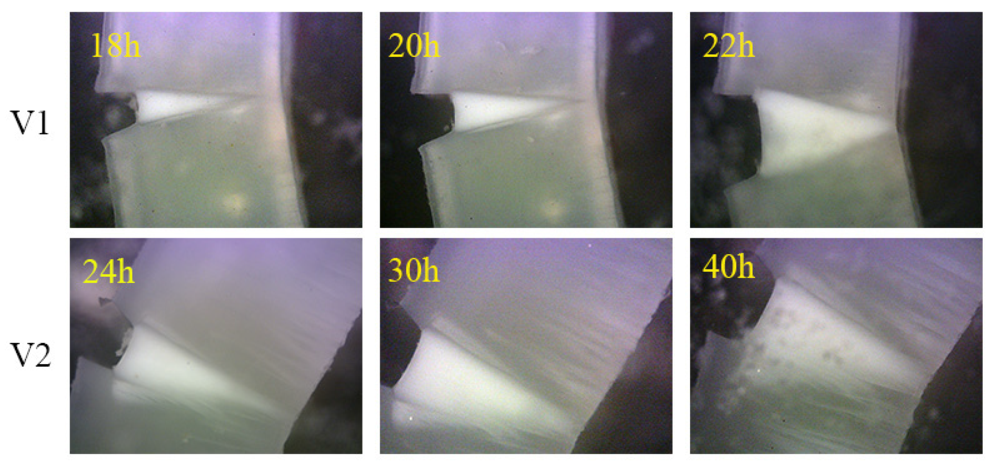 Polymers 12 02746 g006