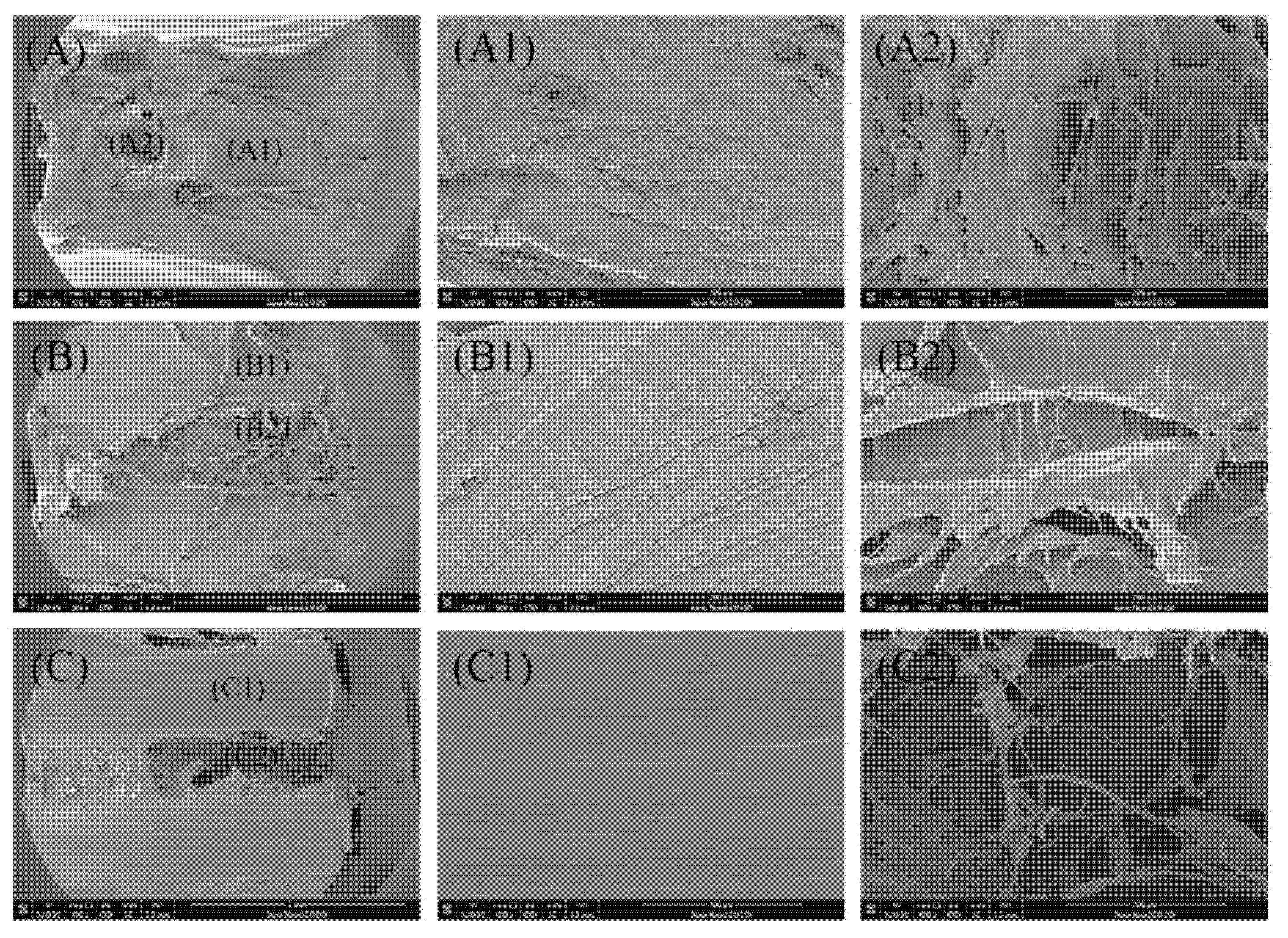 Polymers 12 02746 g009