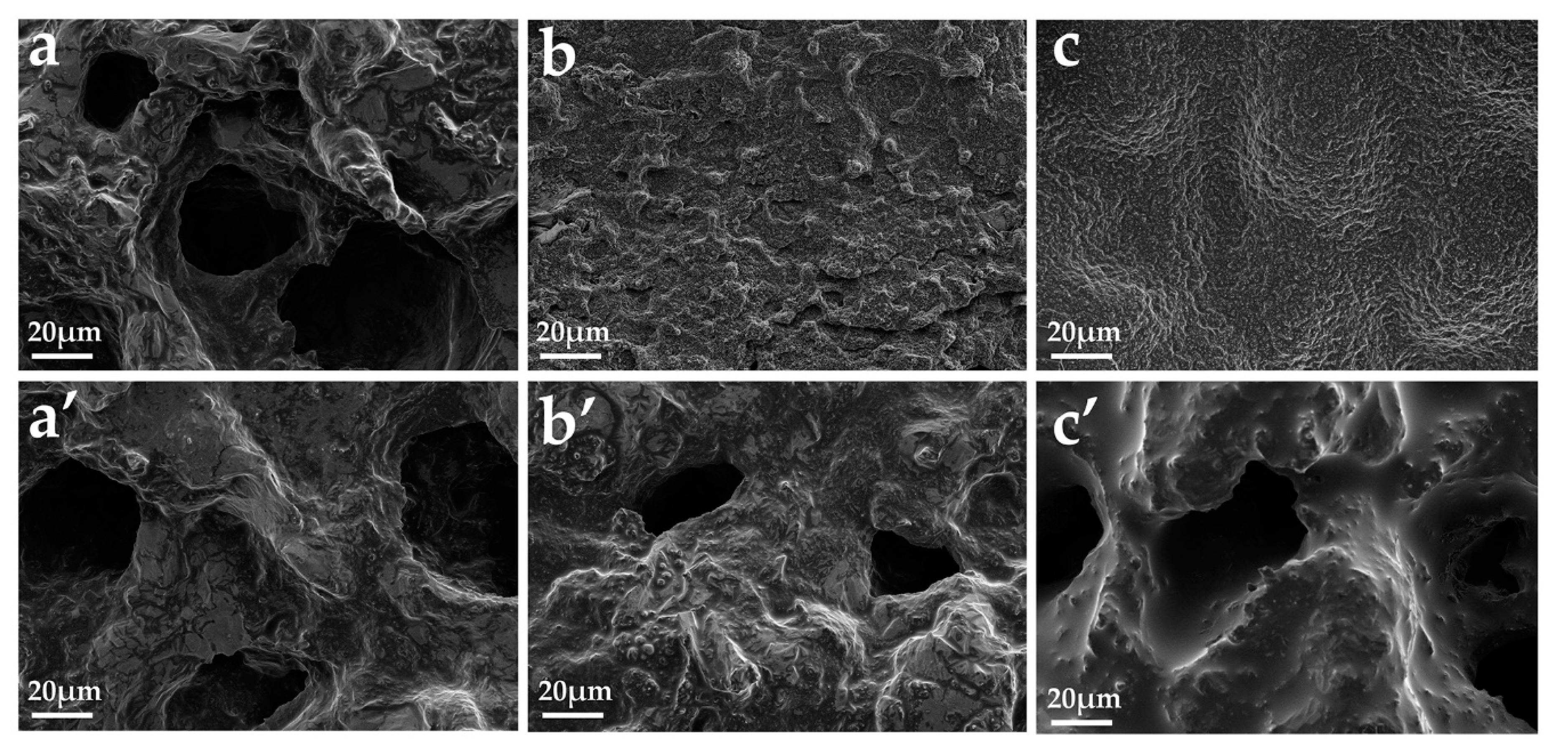 Polymers 12 02761 g009