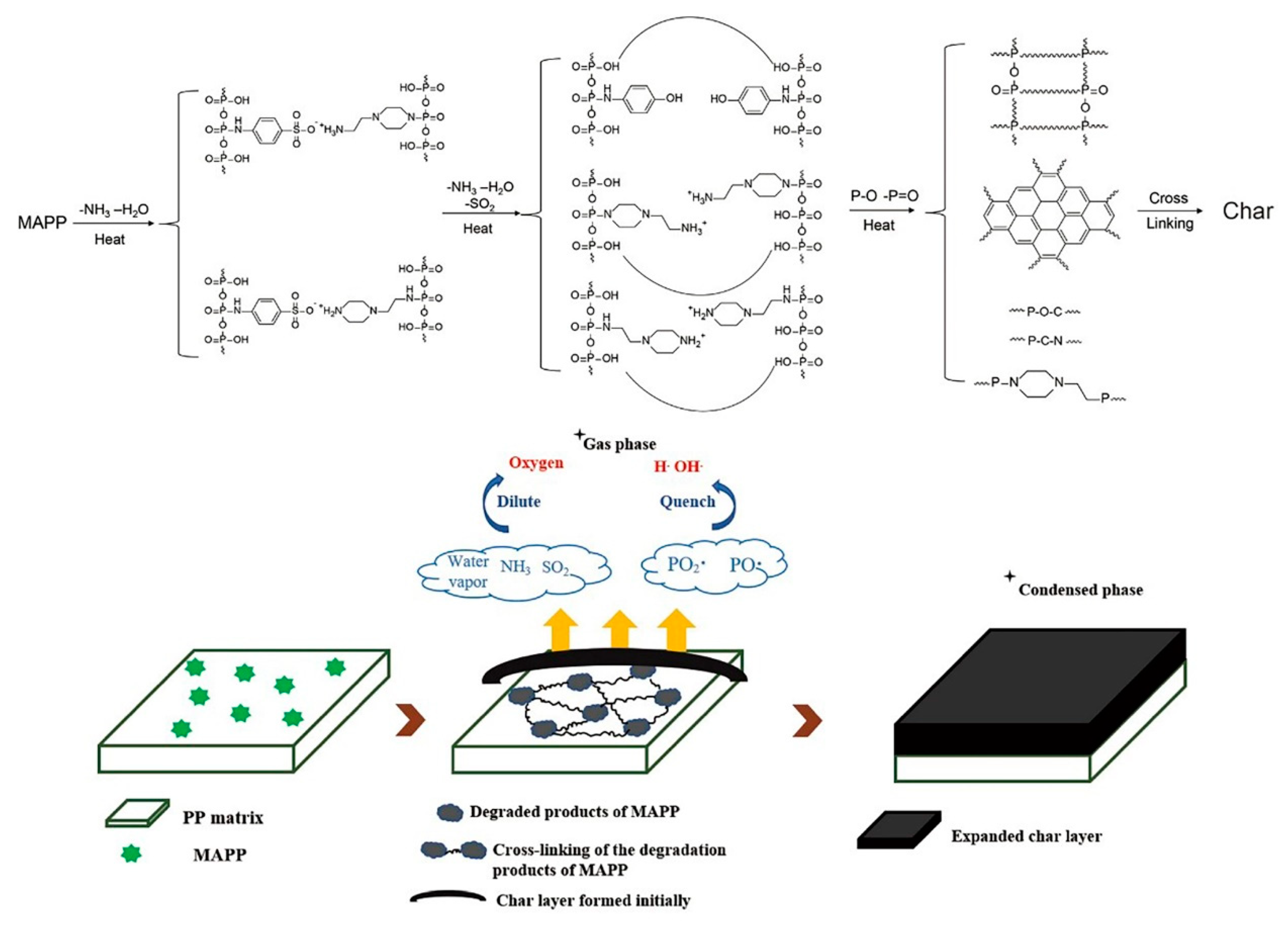 Polymers 12 02761 g012
