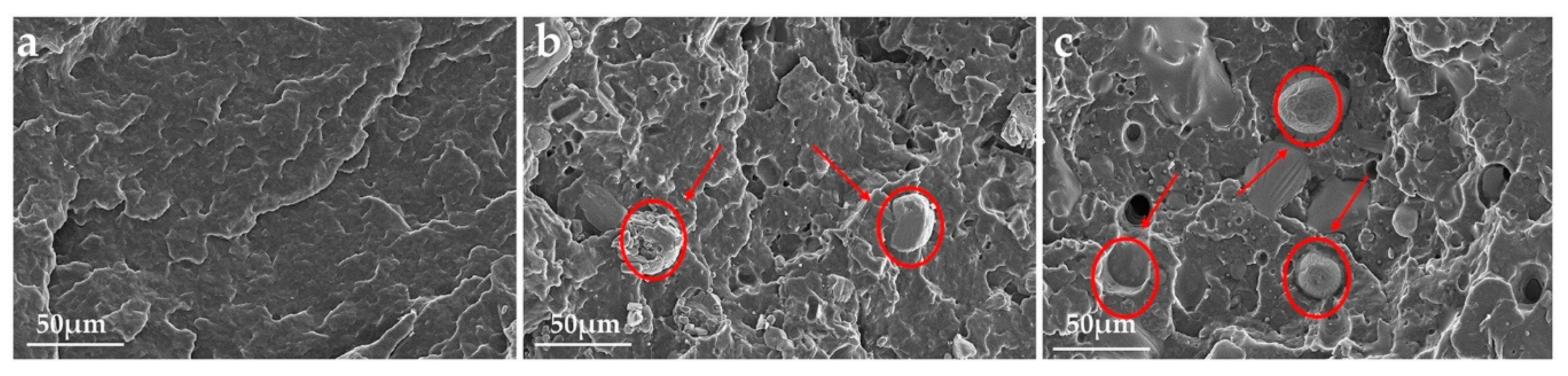 Polymers 12 02761 g014