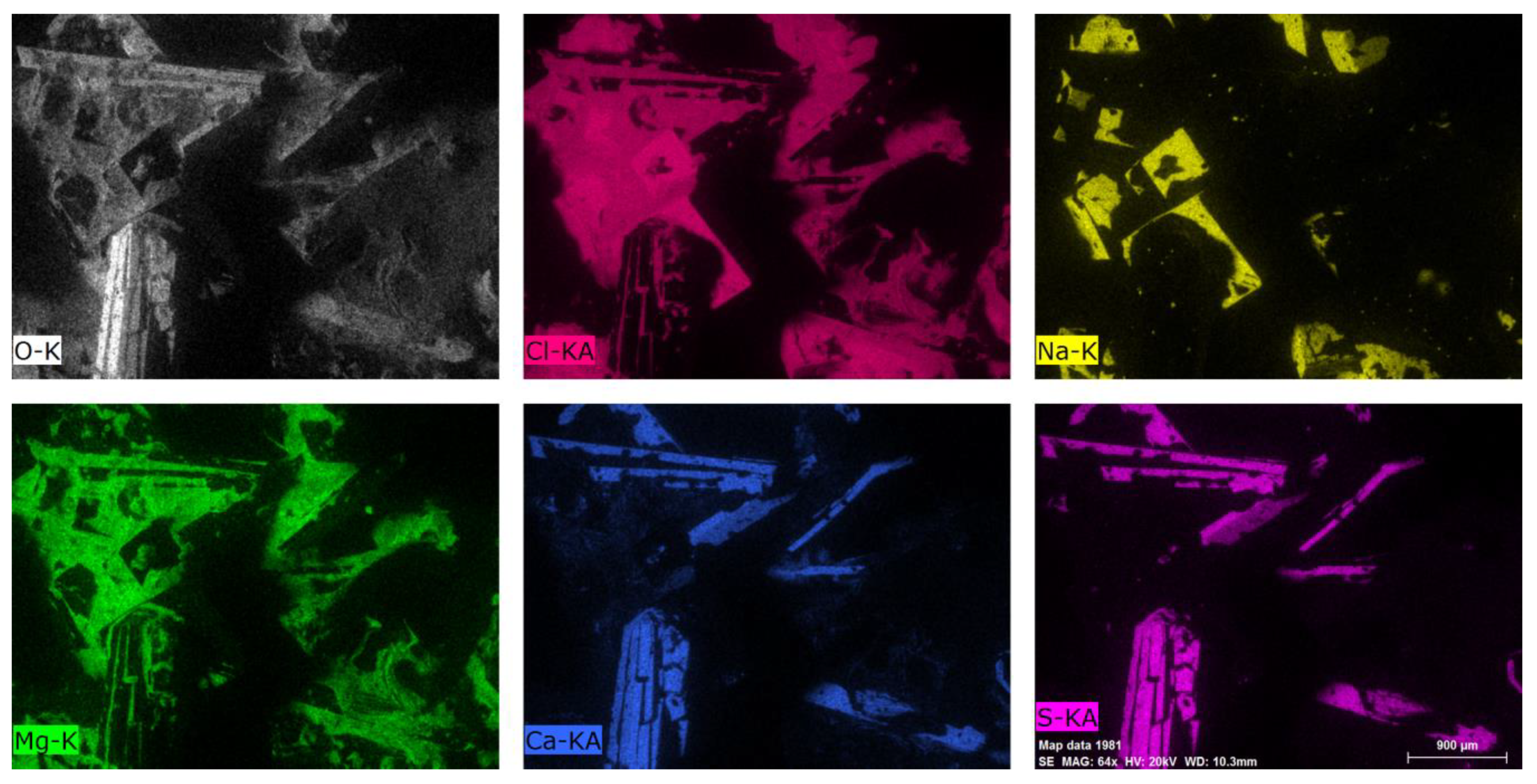Polymers 12 02830 g011