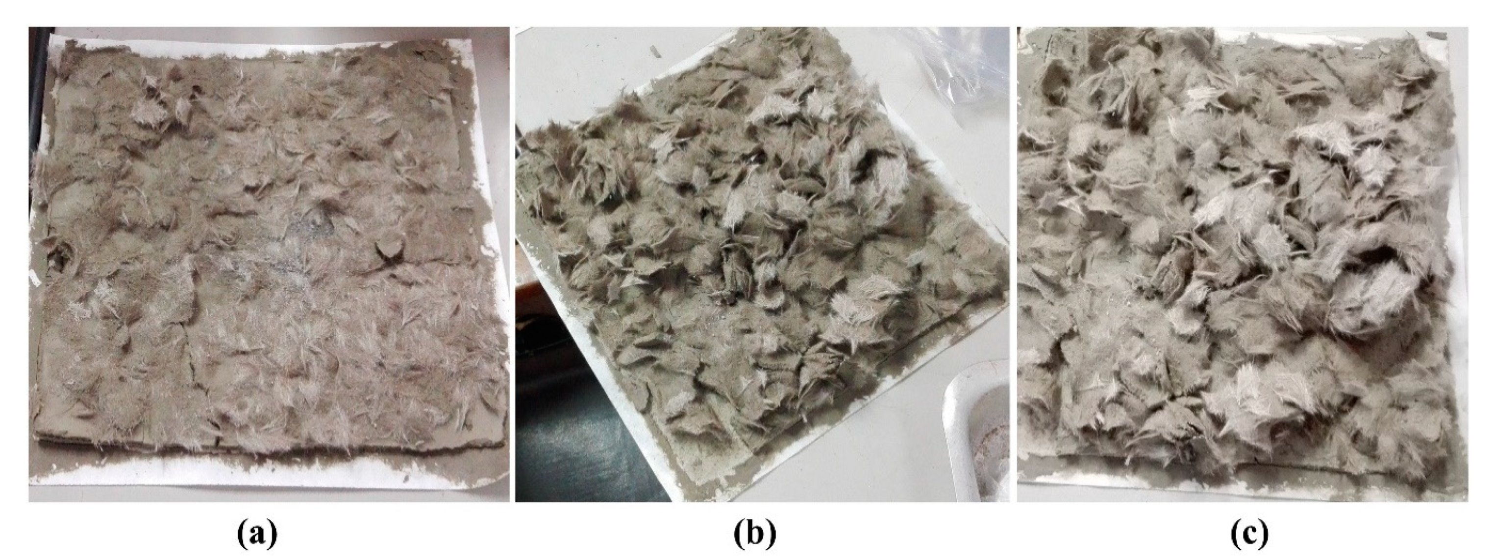 Polymers 12 02837 g002