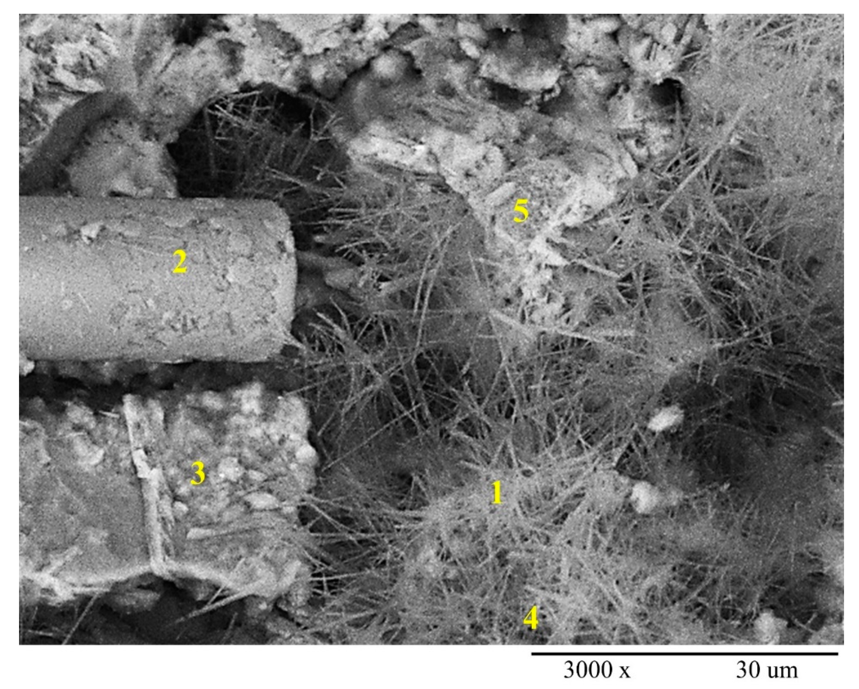 Polymers 12 02837 g010
