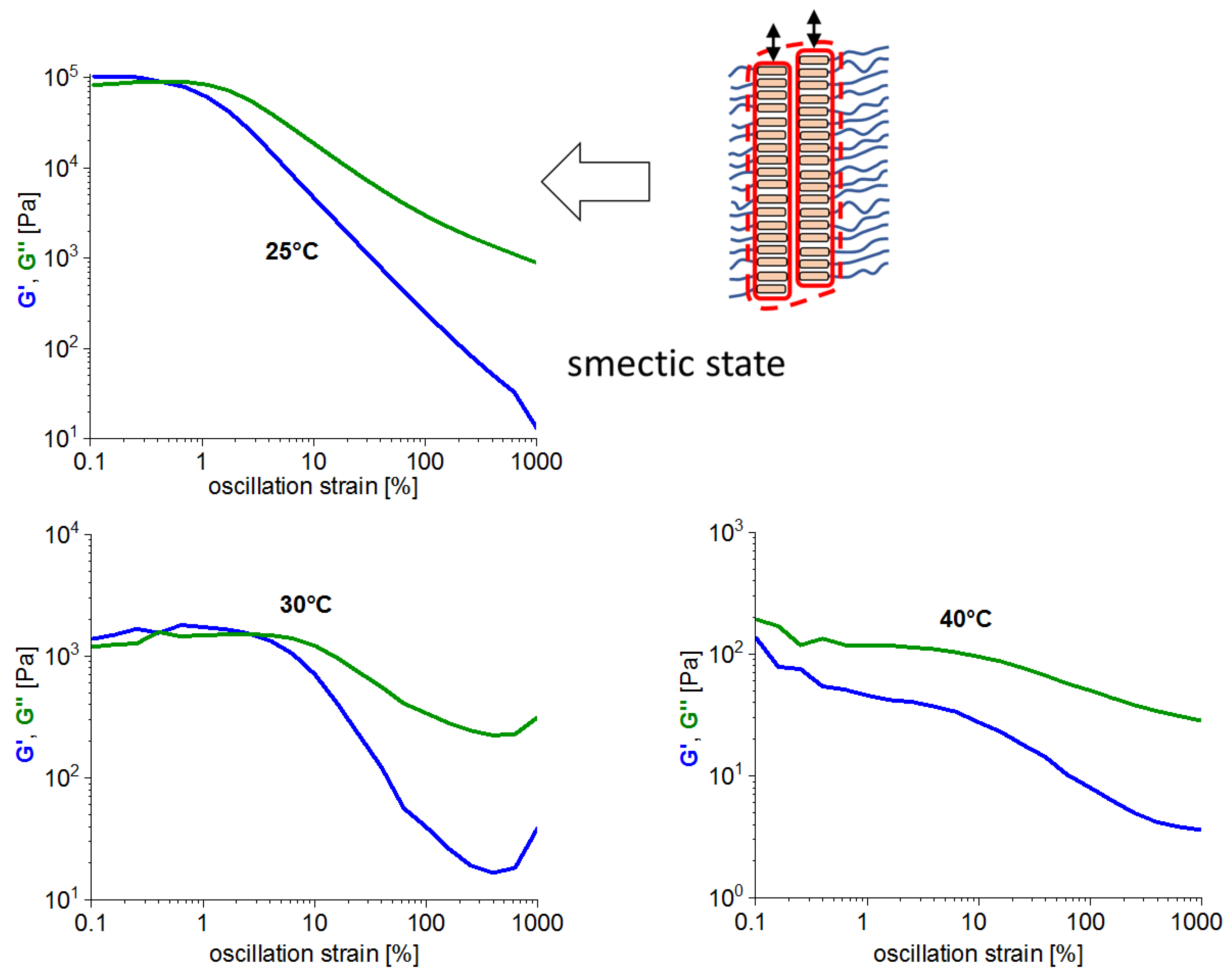 Polymers 12 02840 g006