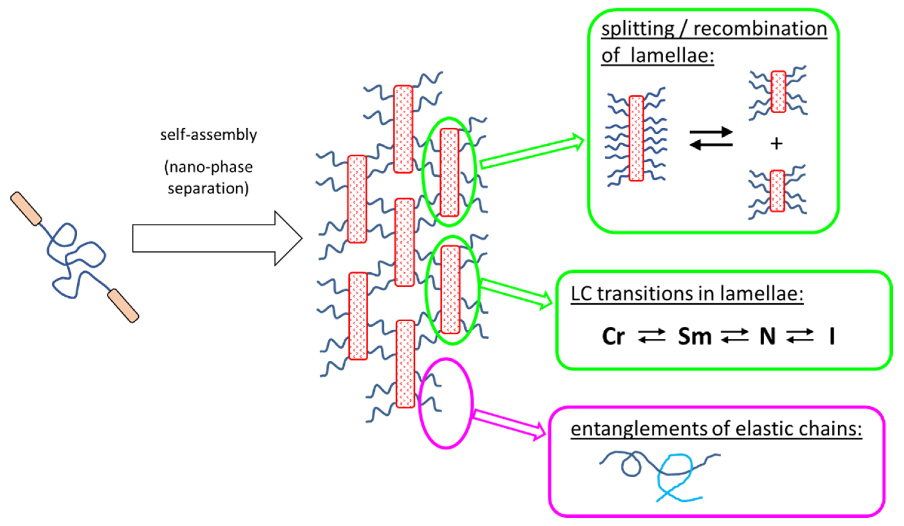 Polymers 12 02840 sch011