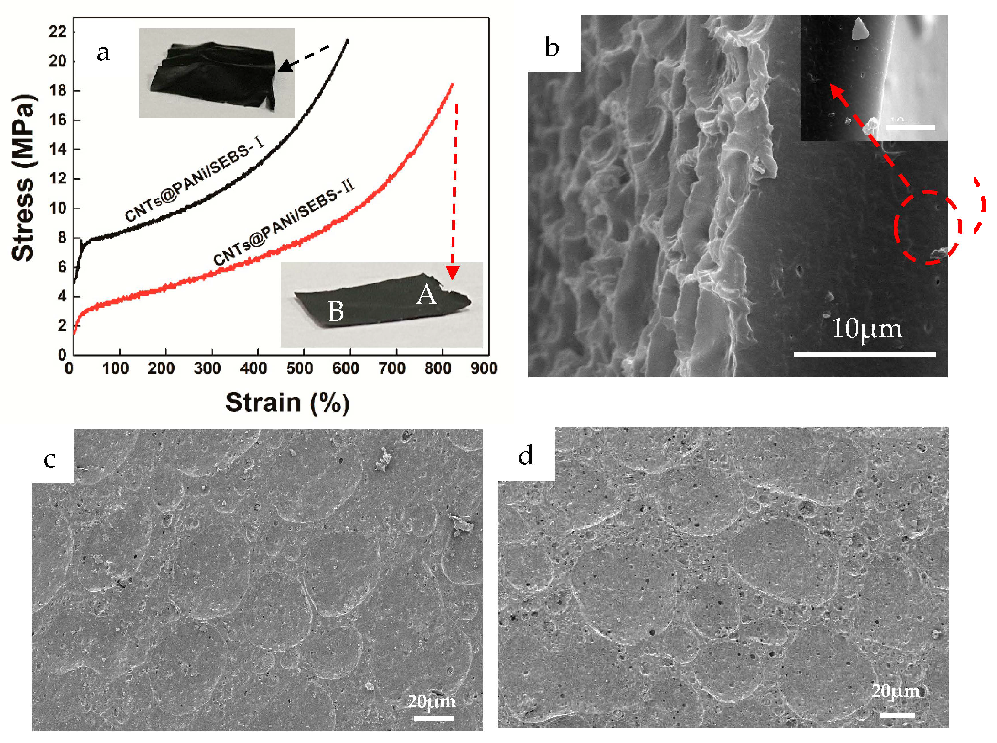 Polymers 12 02847 g005