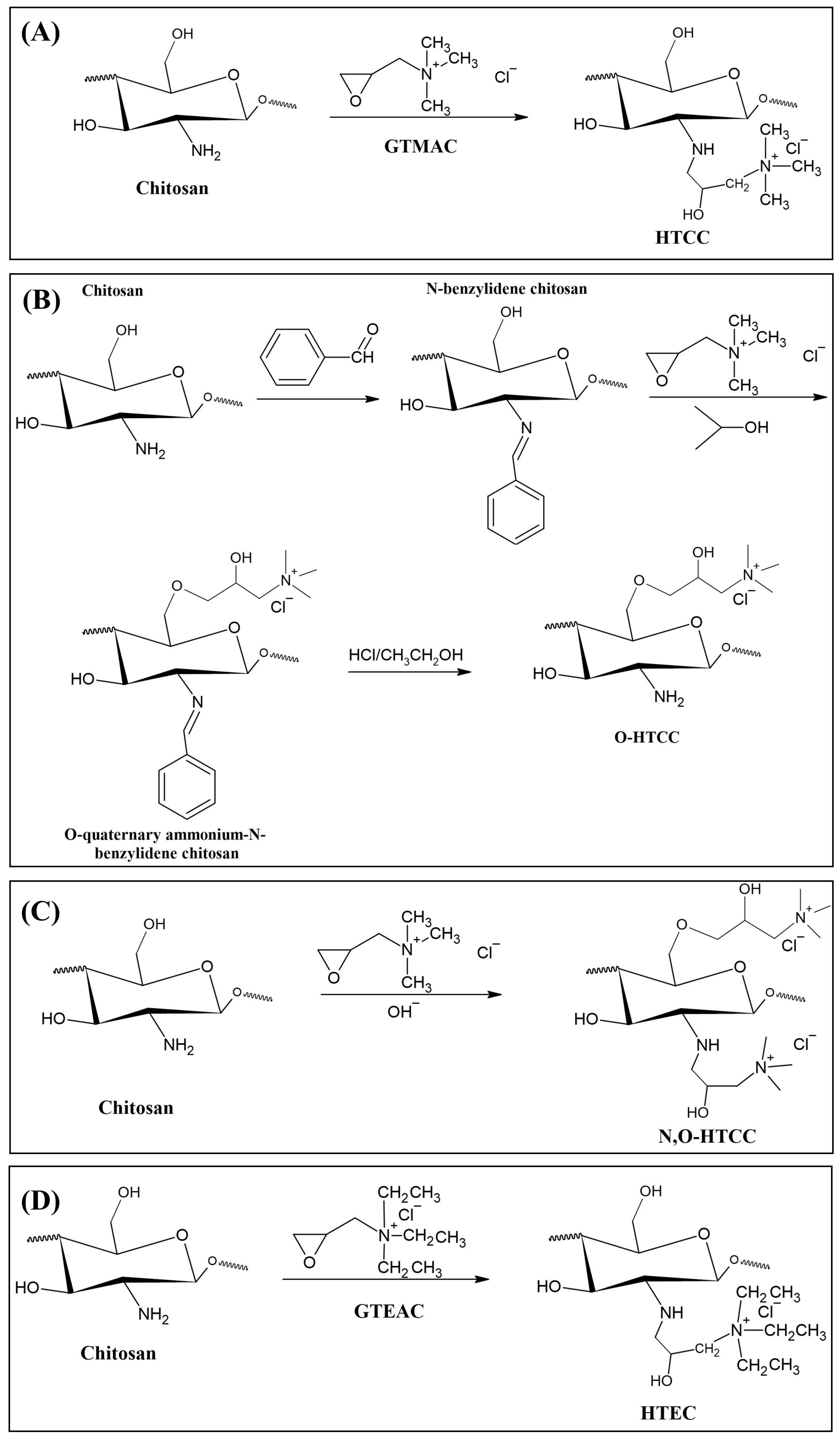Polymers 12 02878 g004 Polymers 12 02878 g004
