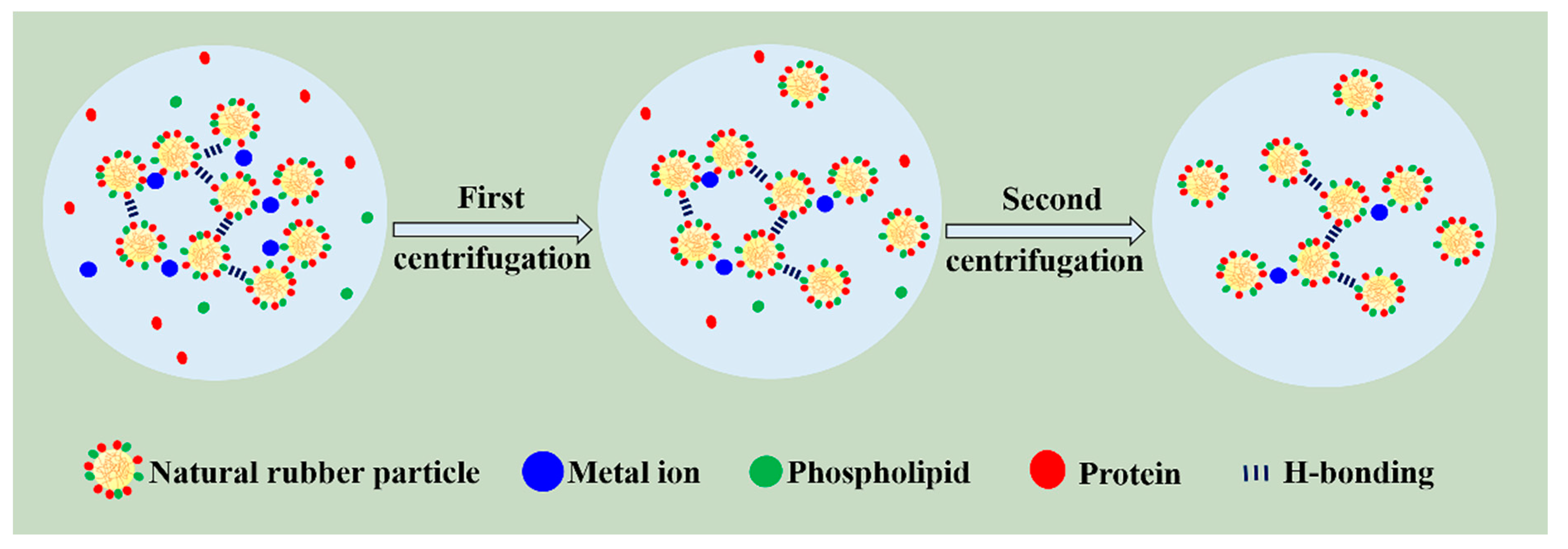 Polymers 12 02880 g004