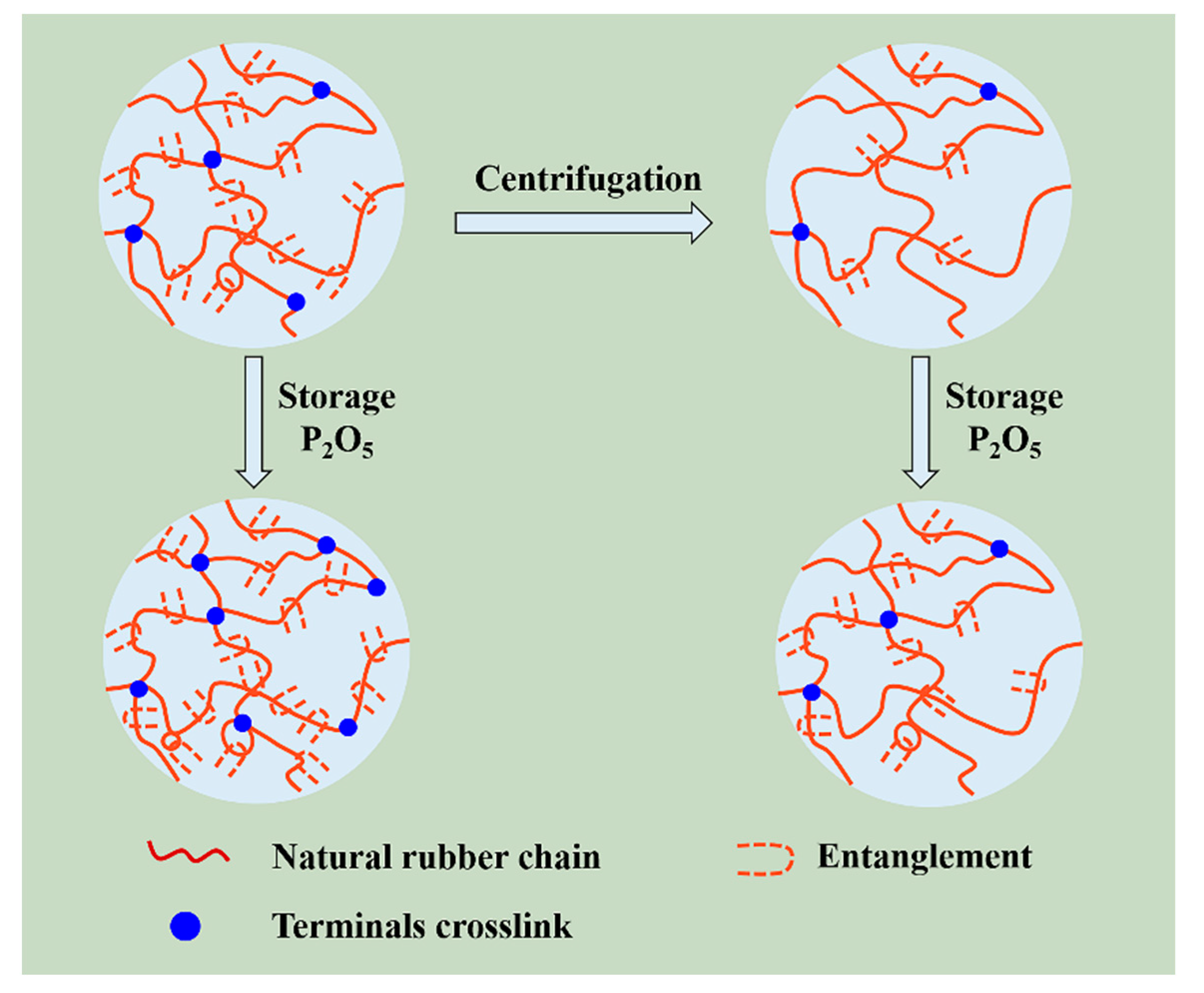 Polymers 12 02880 g011