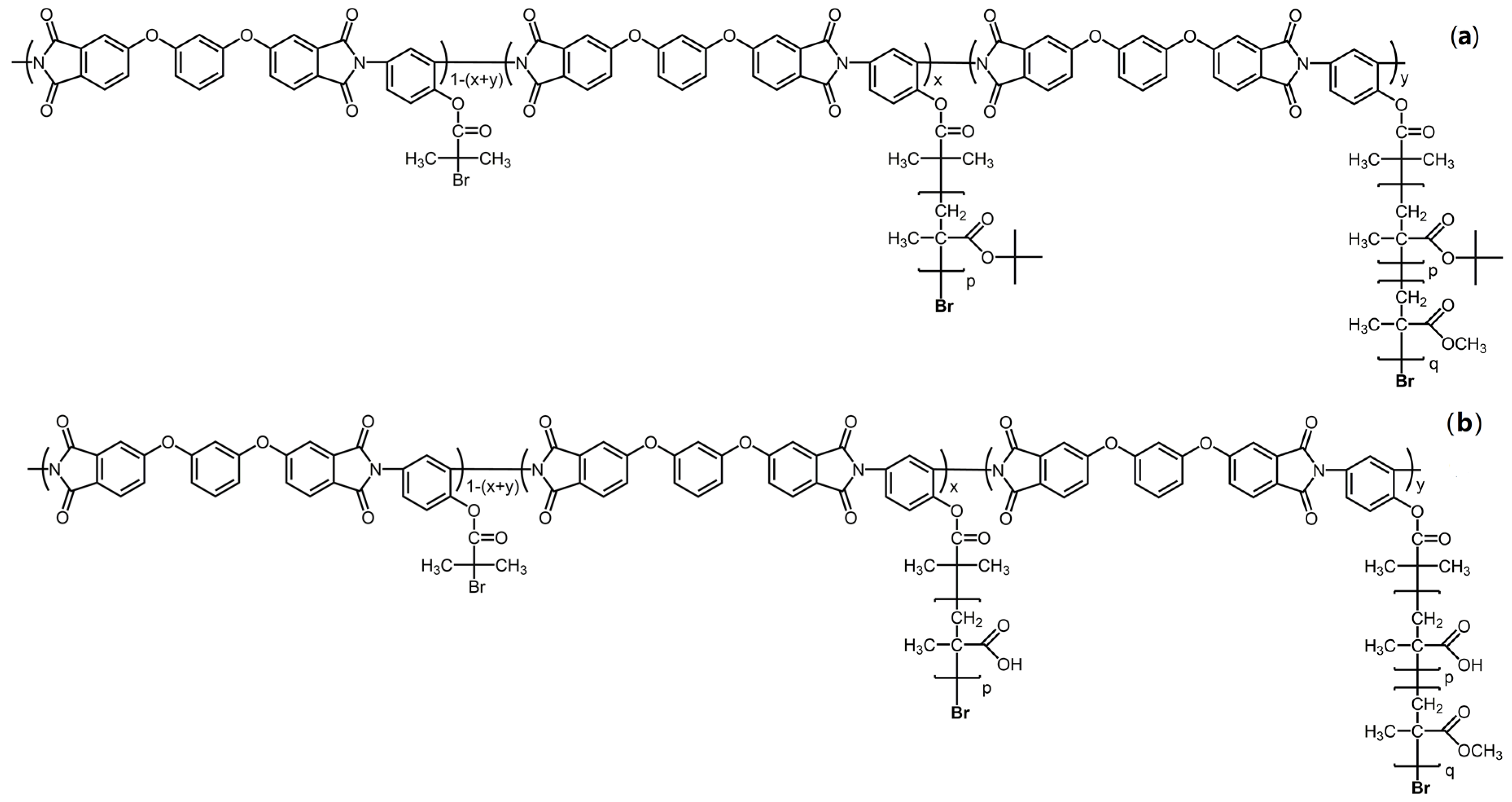 Polymers 12 02922 g001