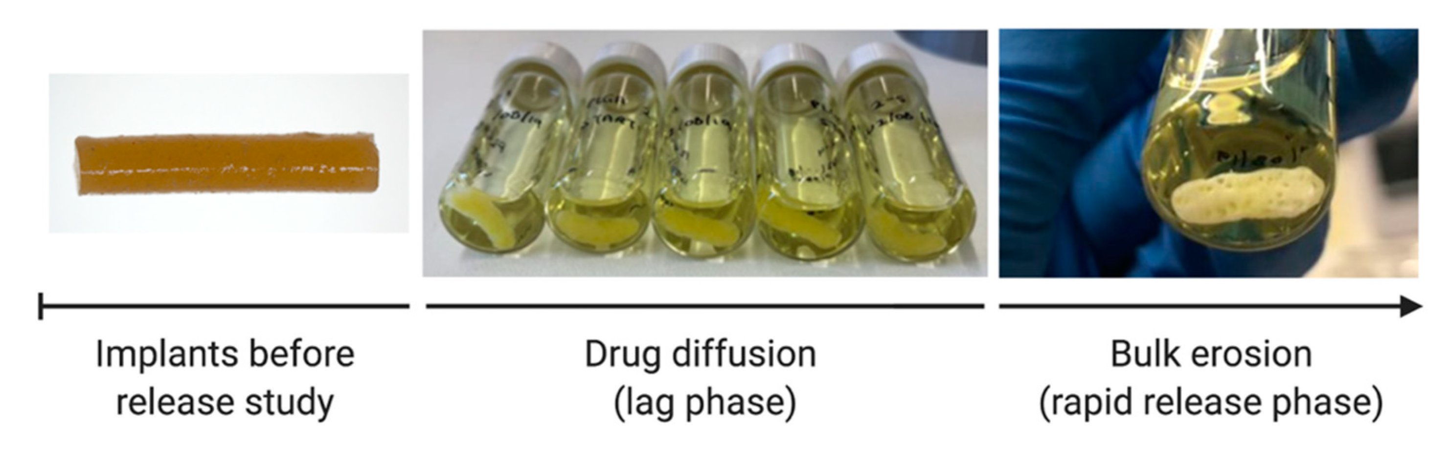 Polymers 12 02930 g004