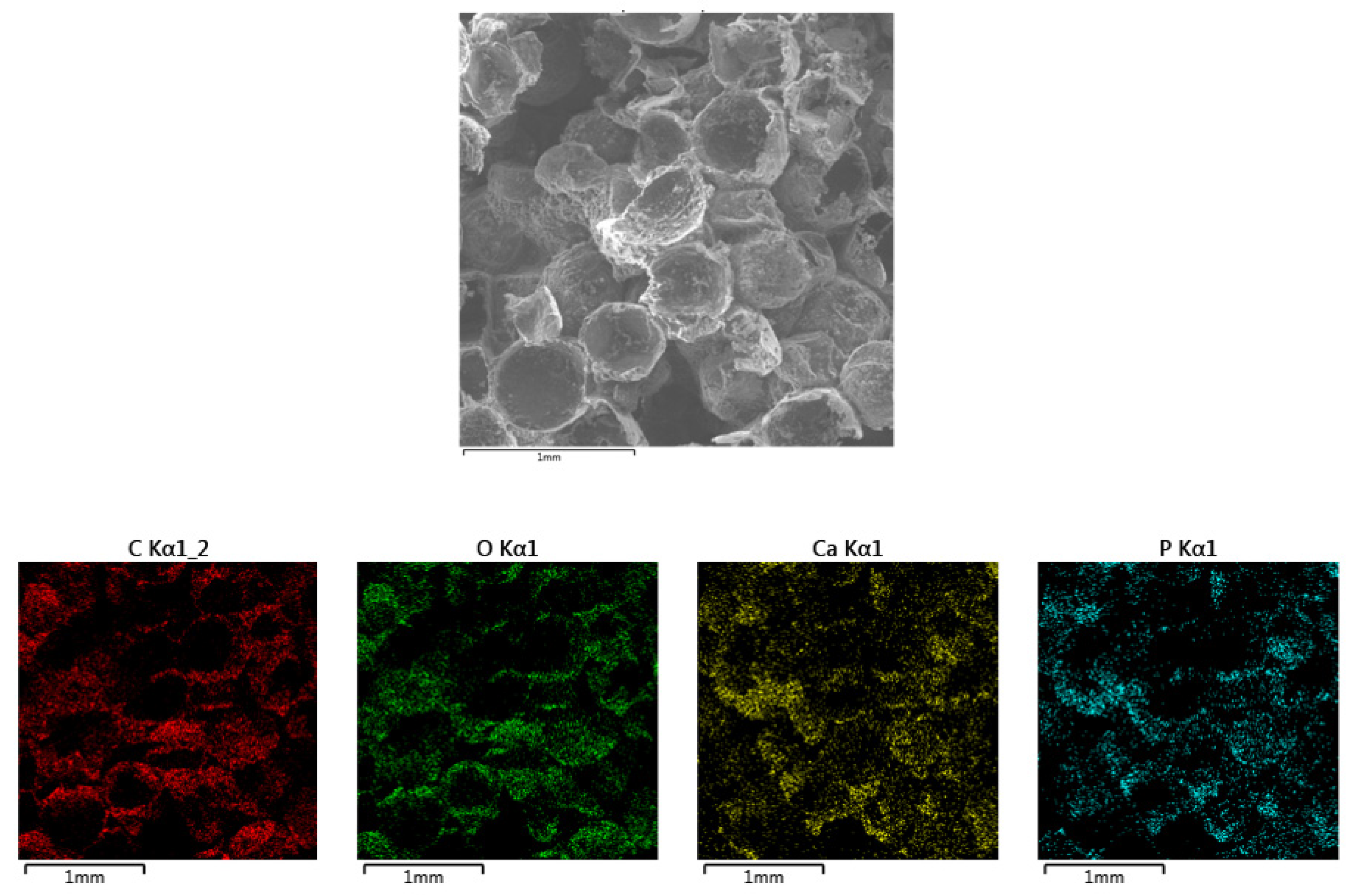 Polymers 12 02938 g002