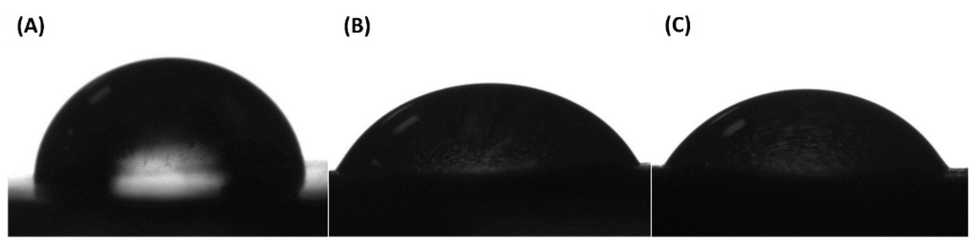 Polymers 12 02938 g004