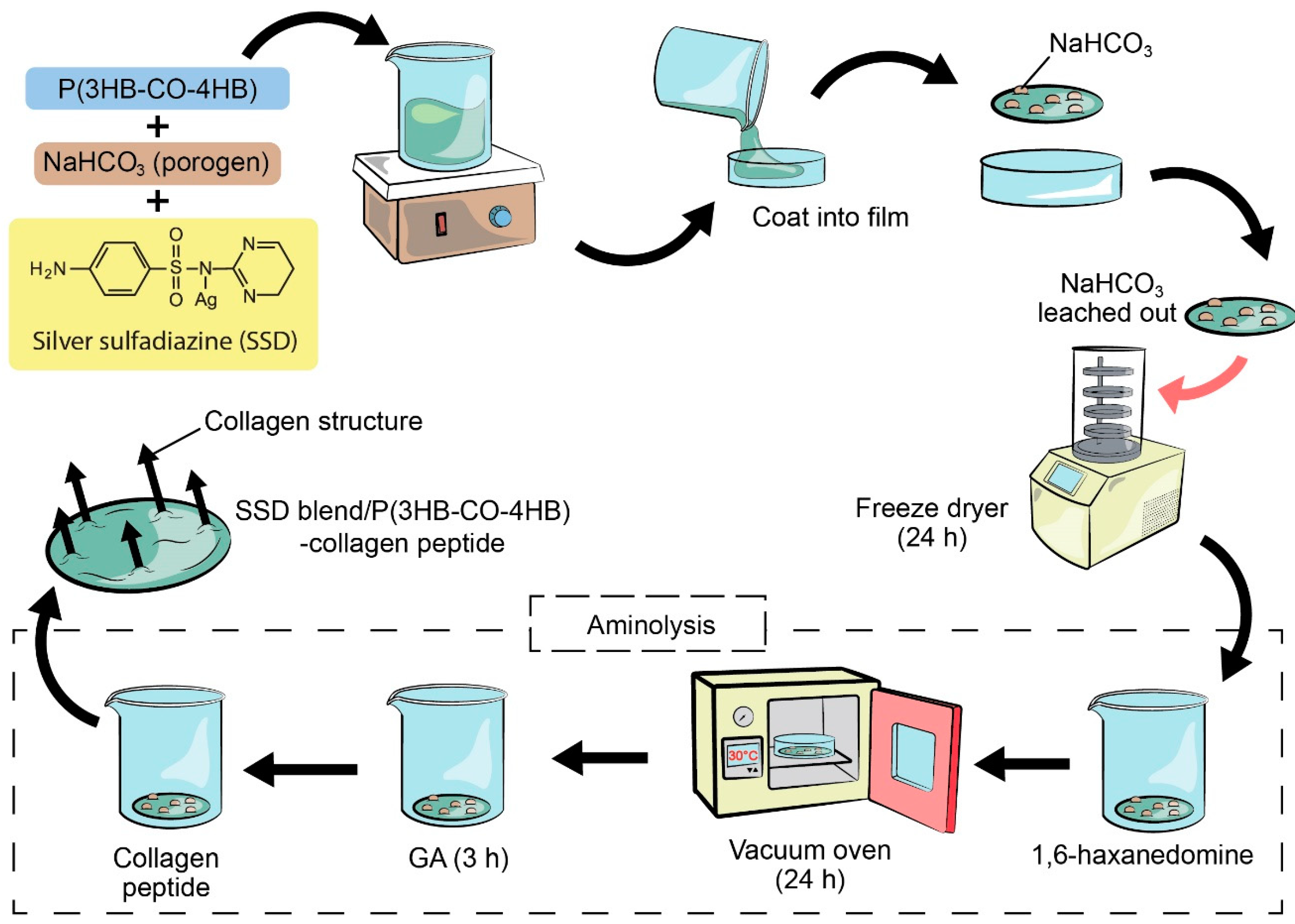 Polymers 12 02979 g002