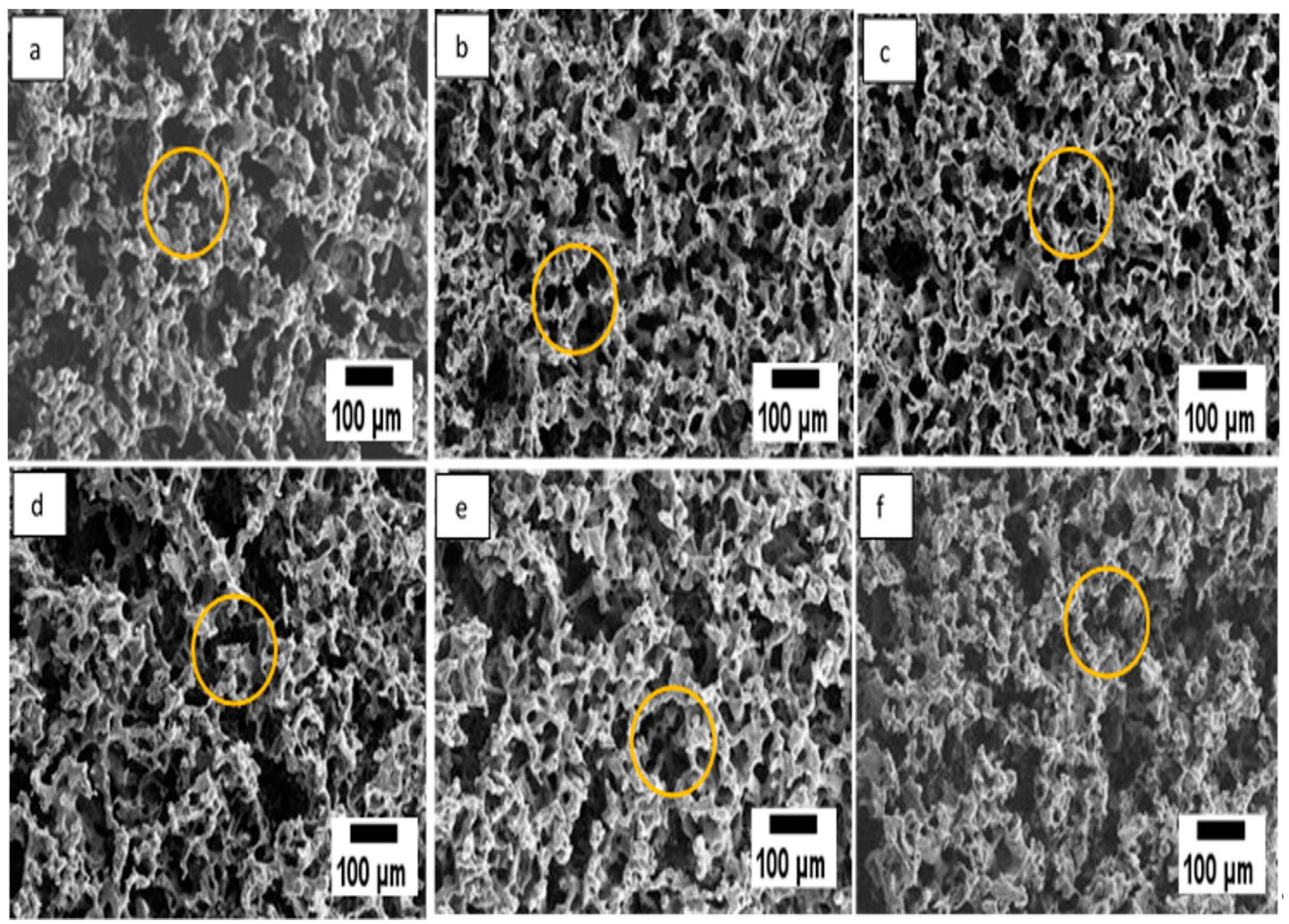 Polymers 12 02979 g003
