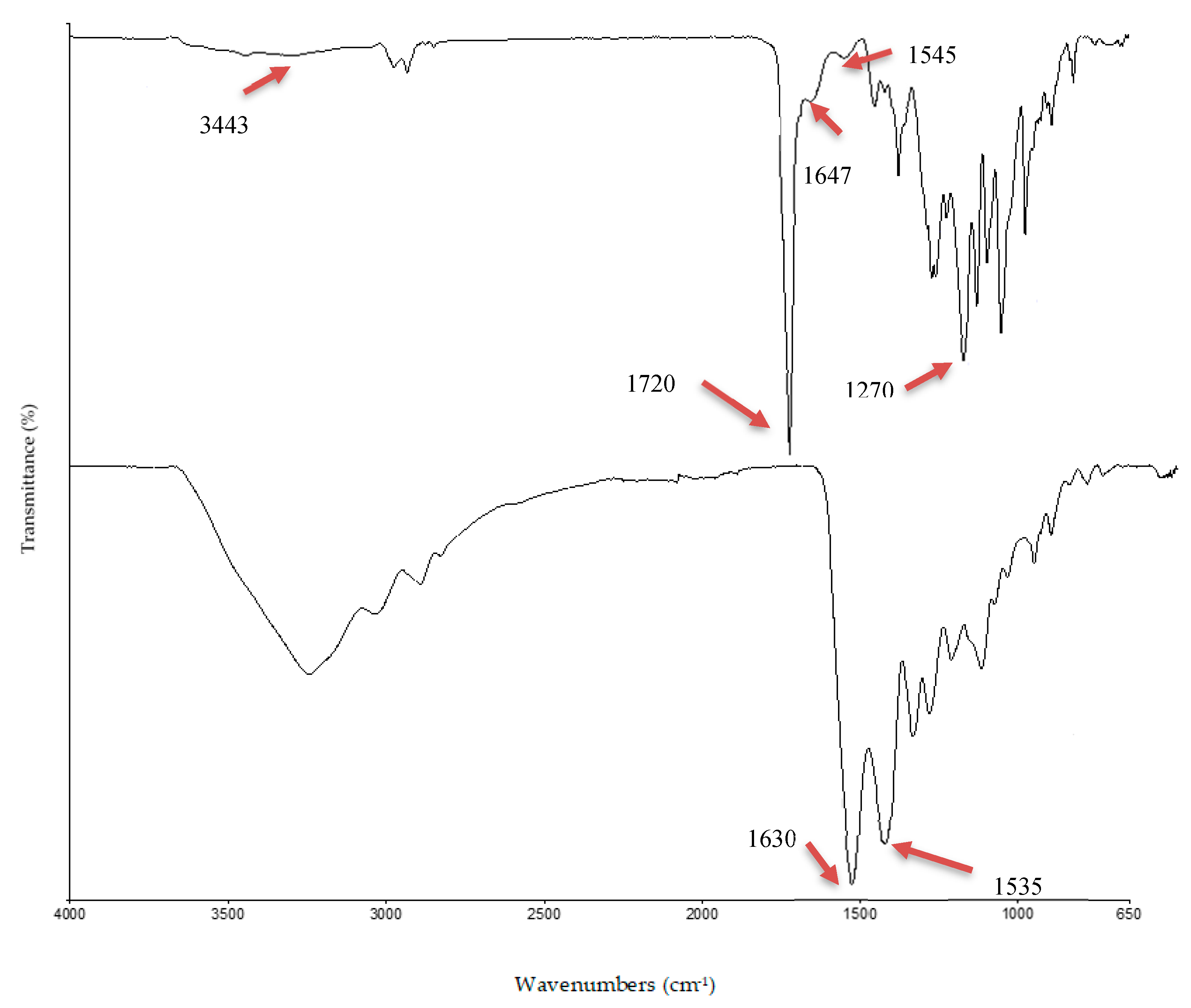 Polymers 12 02979 g004