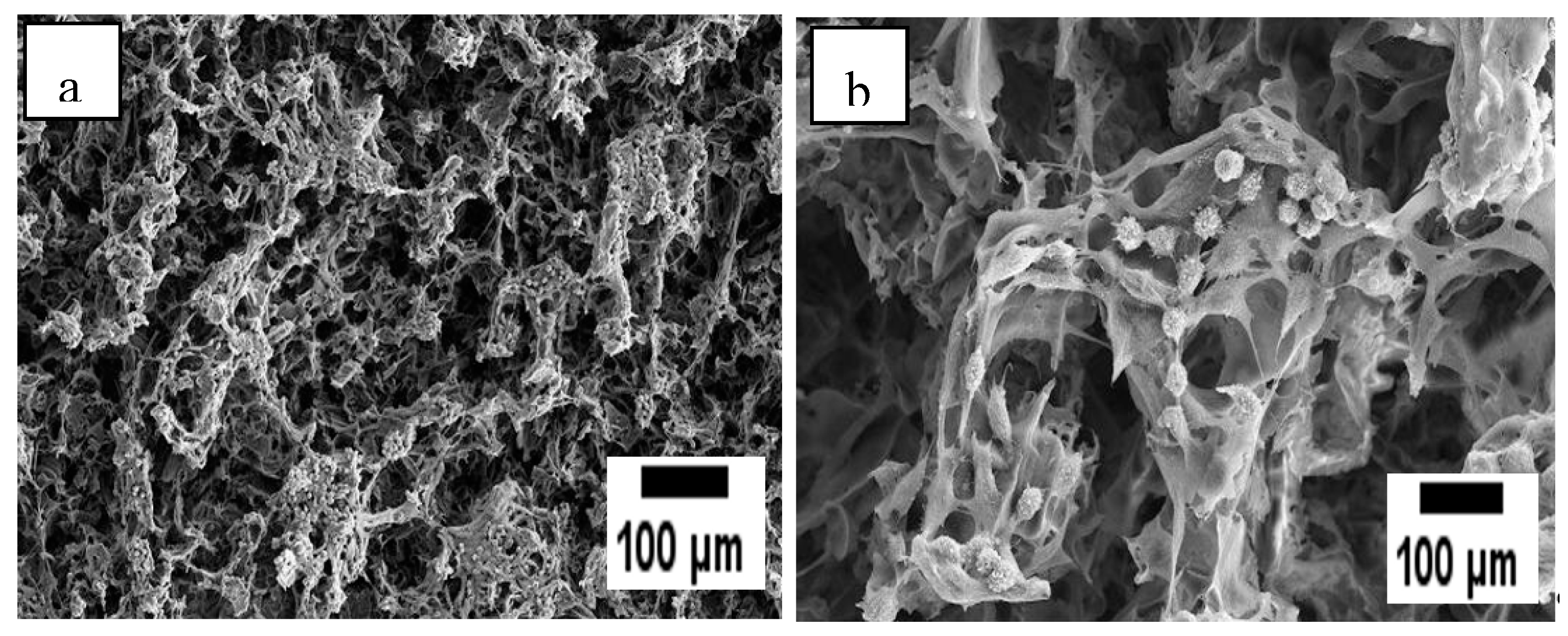 Polymers 12 02979 g008