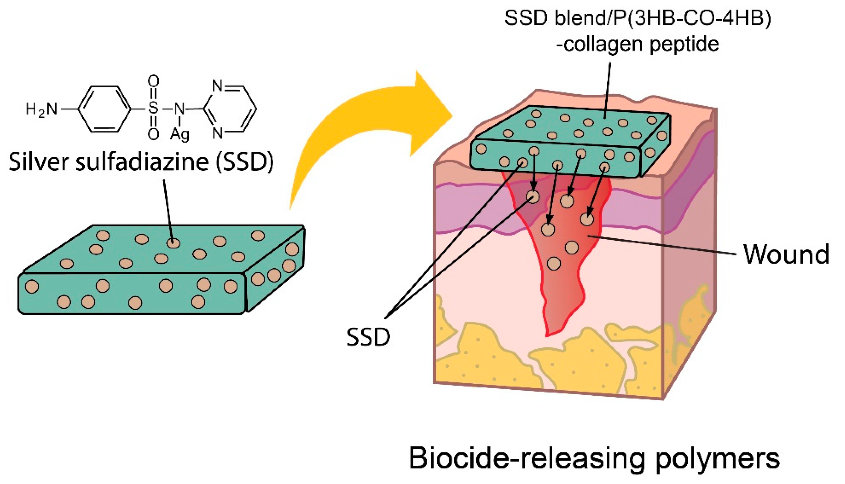 Polymers 12 02979 g009