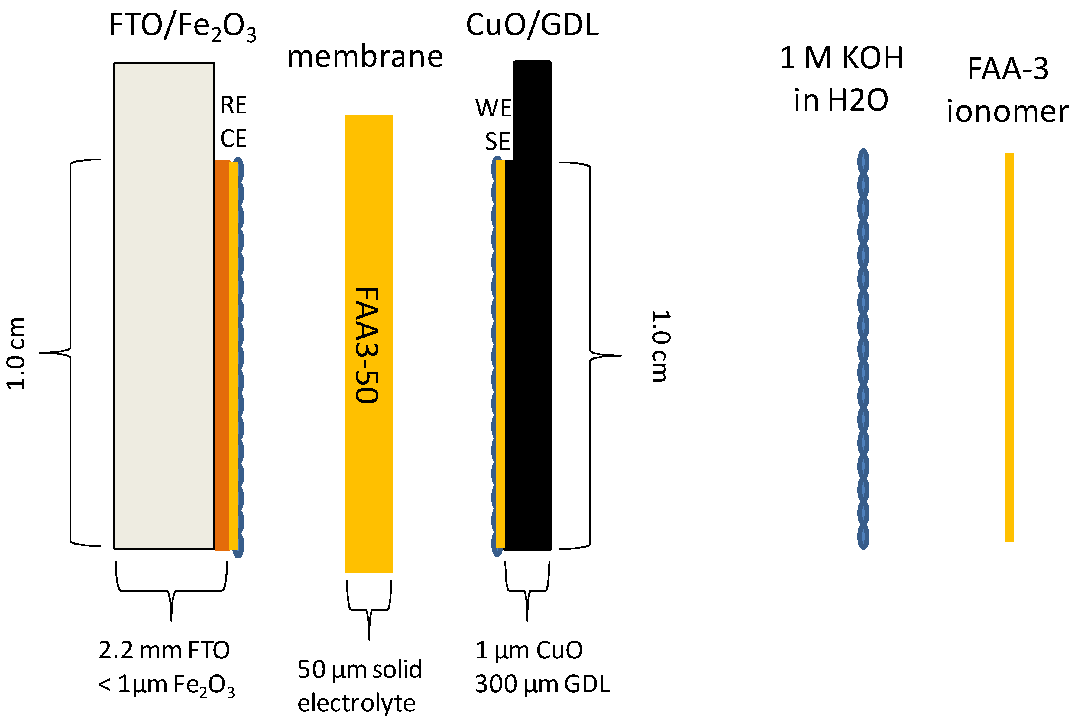 Polymers 12 02991 g001