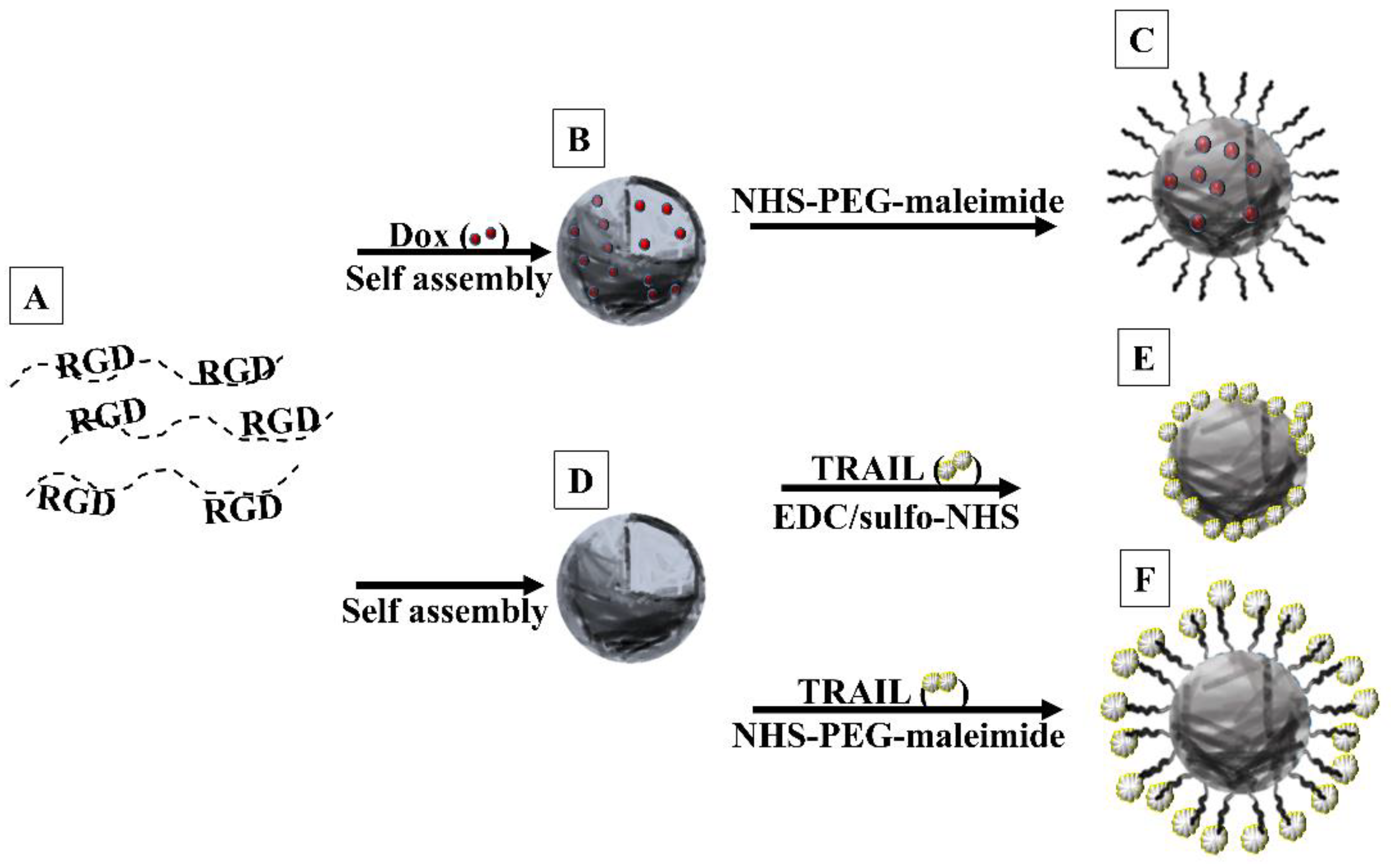 Polymers 12 02996 g001