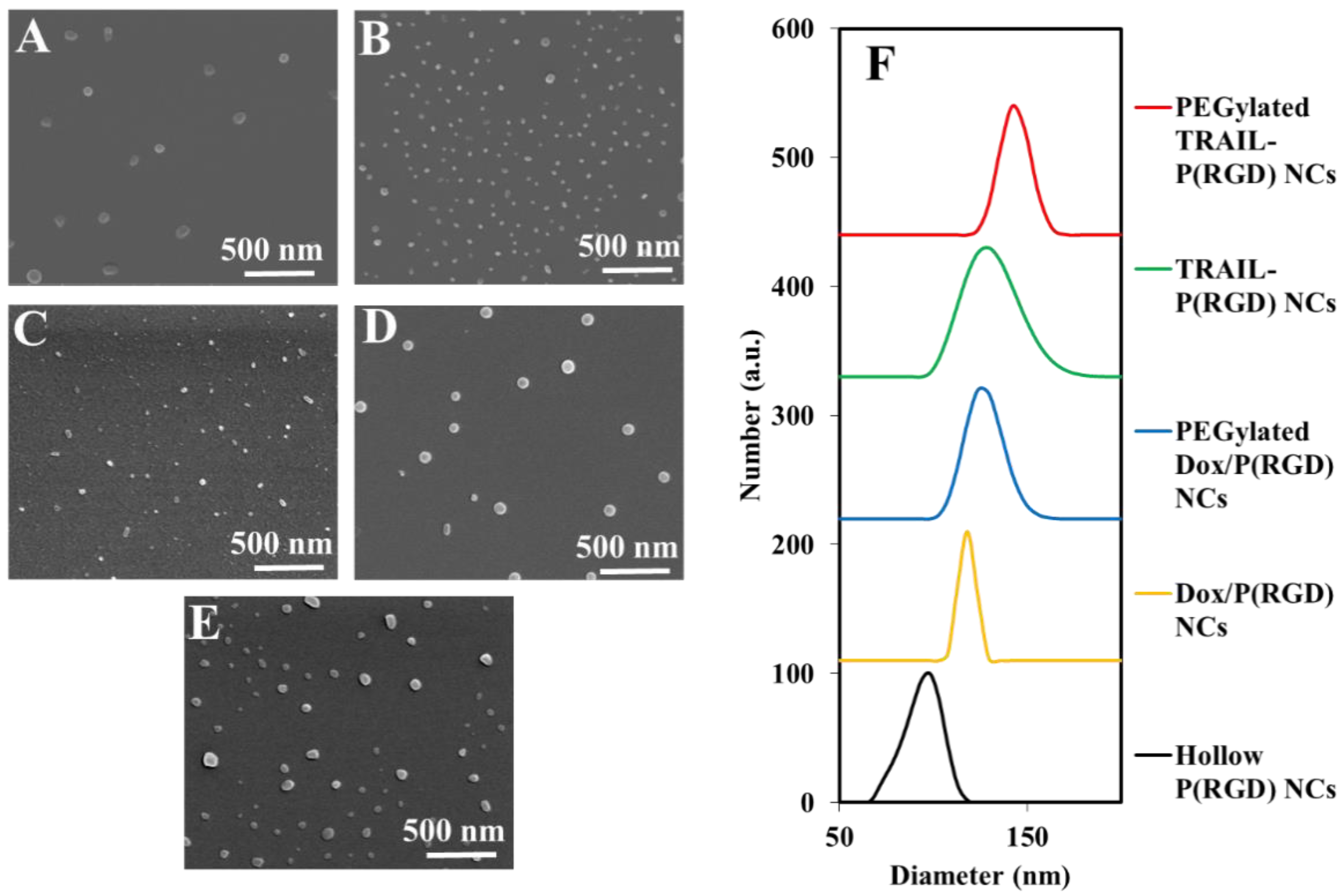 Polymers 12 02996 g002
