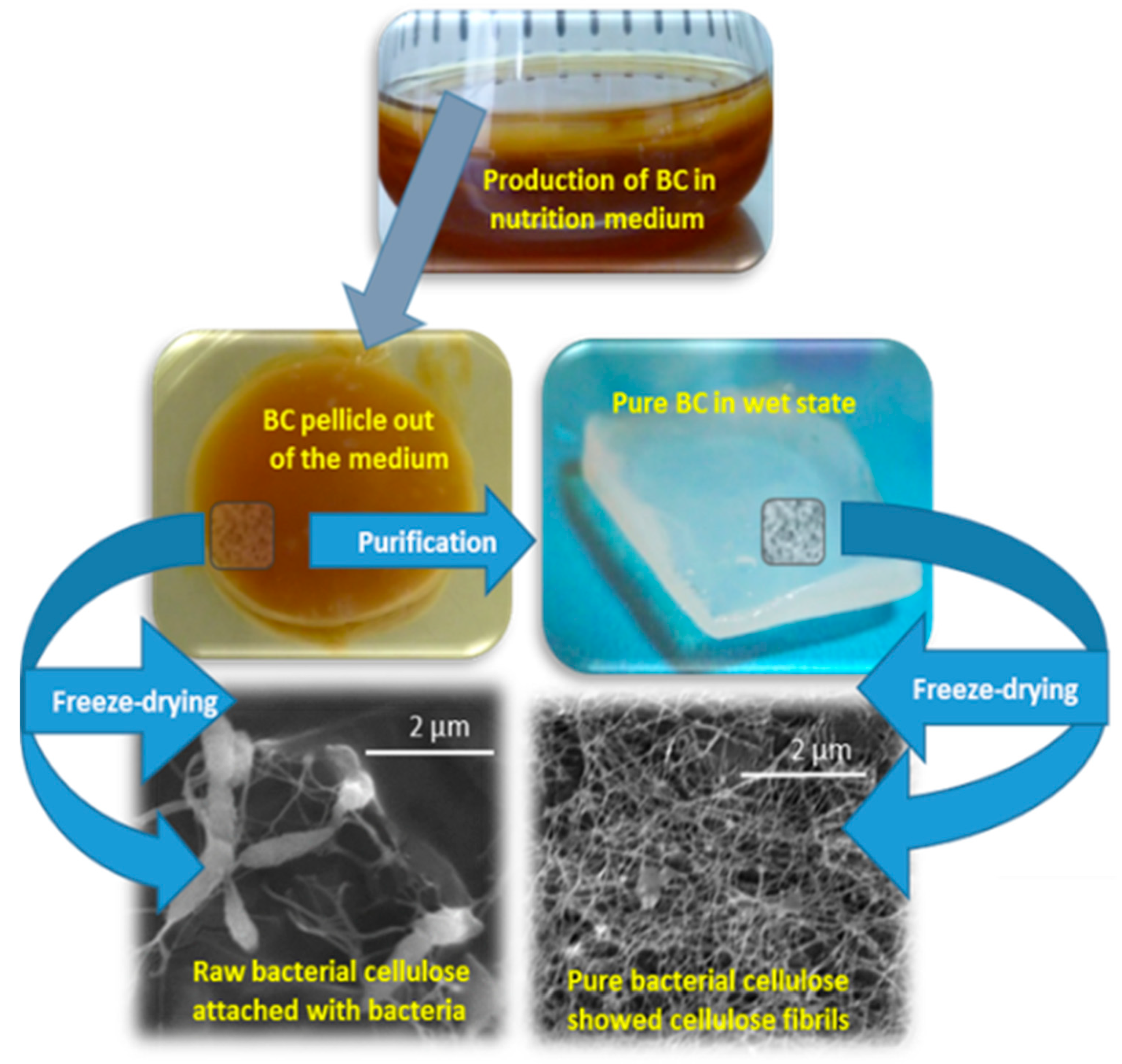 Polymers 12 03015 g002