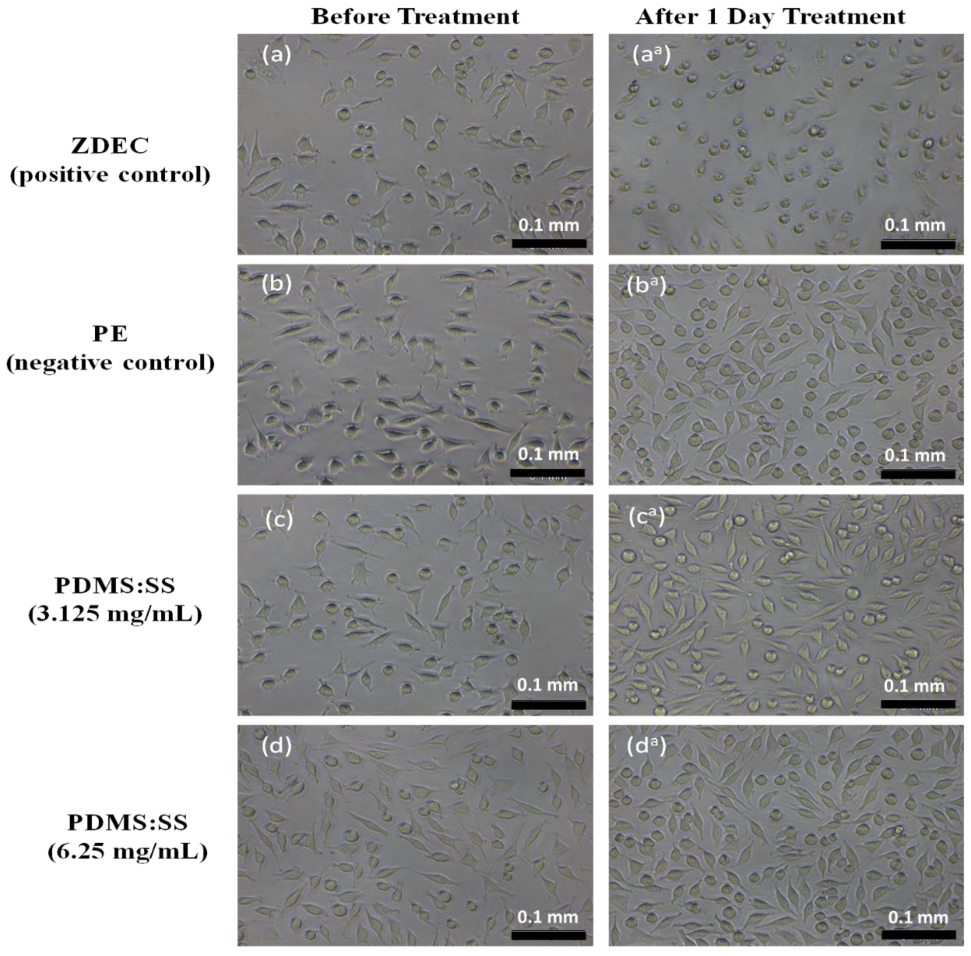 Polymers 12 03034 g003a Polymers 12 03034 g003a