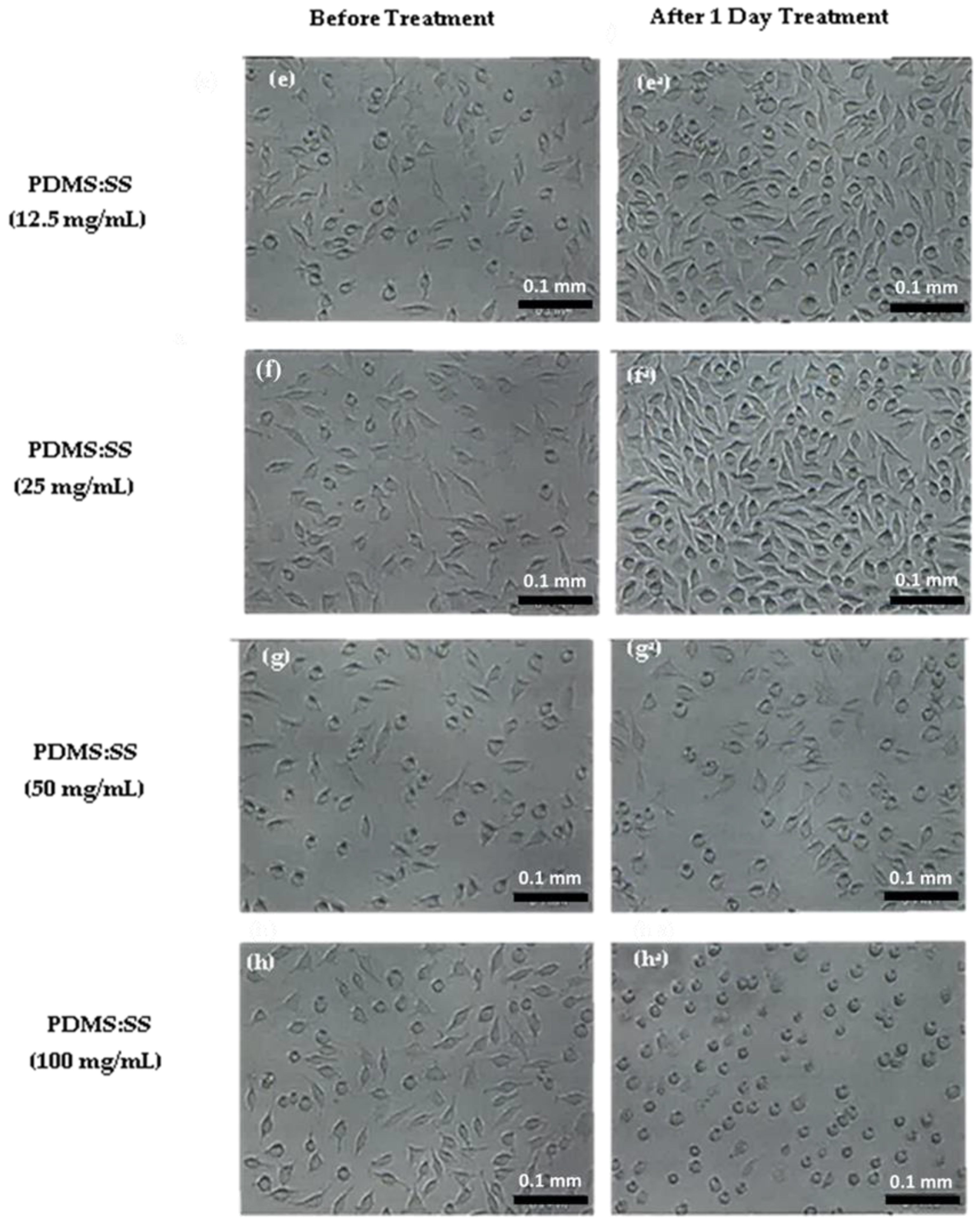 Polymers 12 03034 g003b Polymers 12 03034 g003b