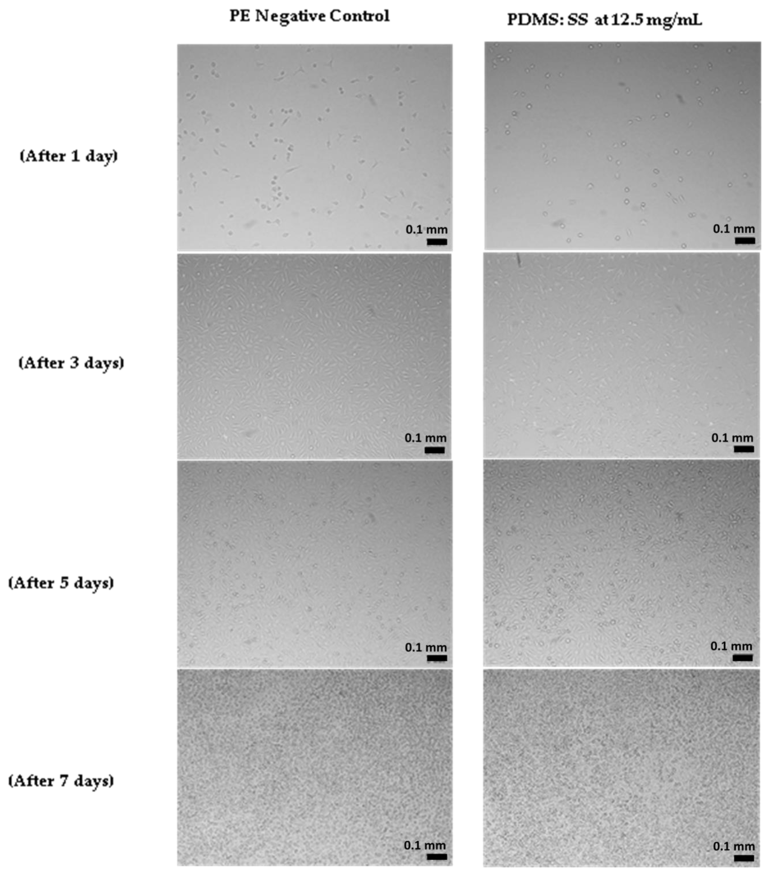 Polymers 12 03034 g006 Polymers 12 03034 g006