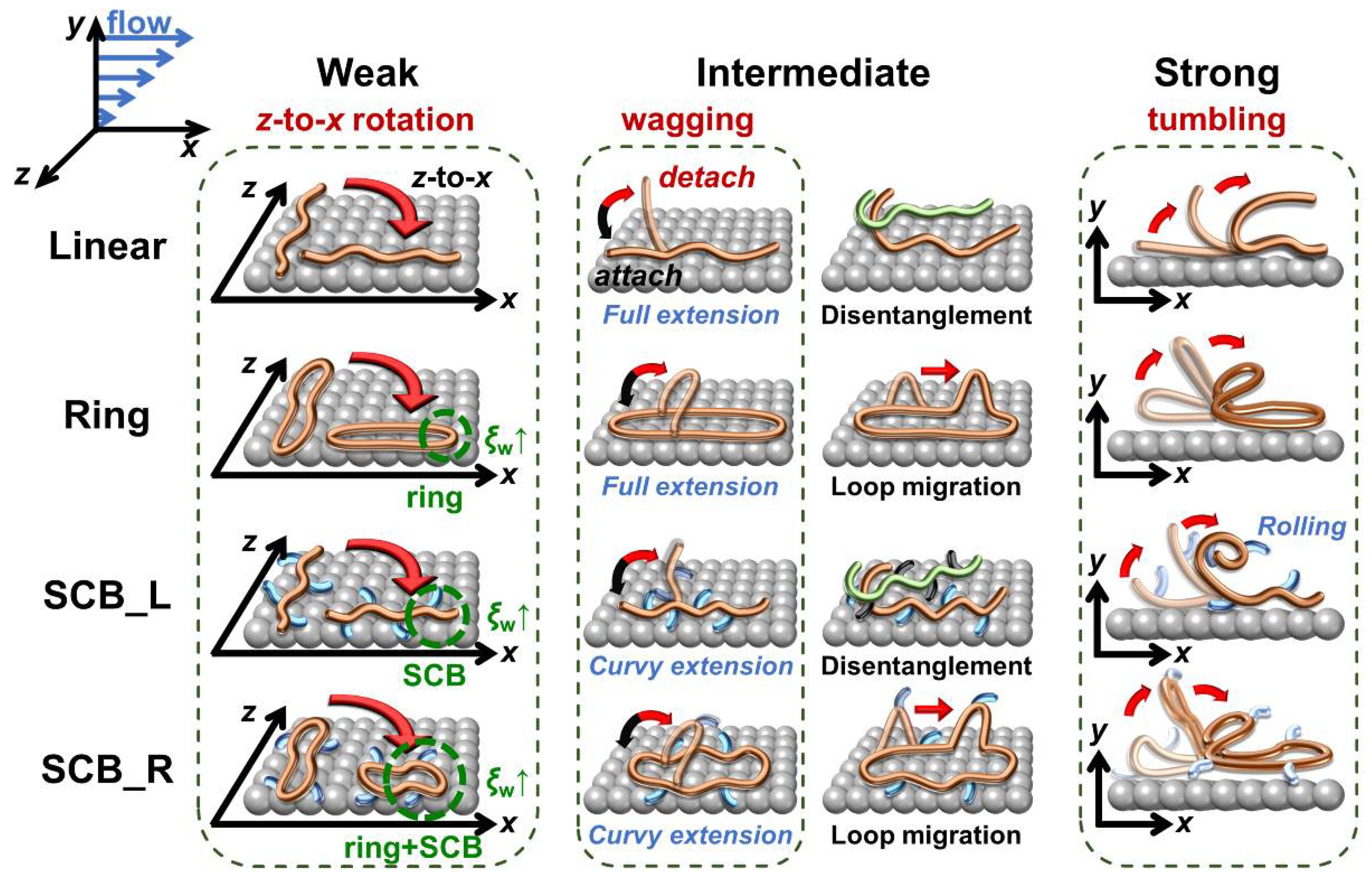 Polymers 12 03068 g002