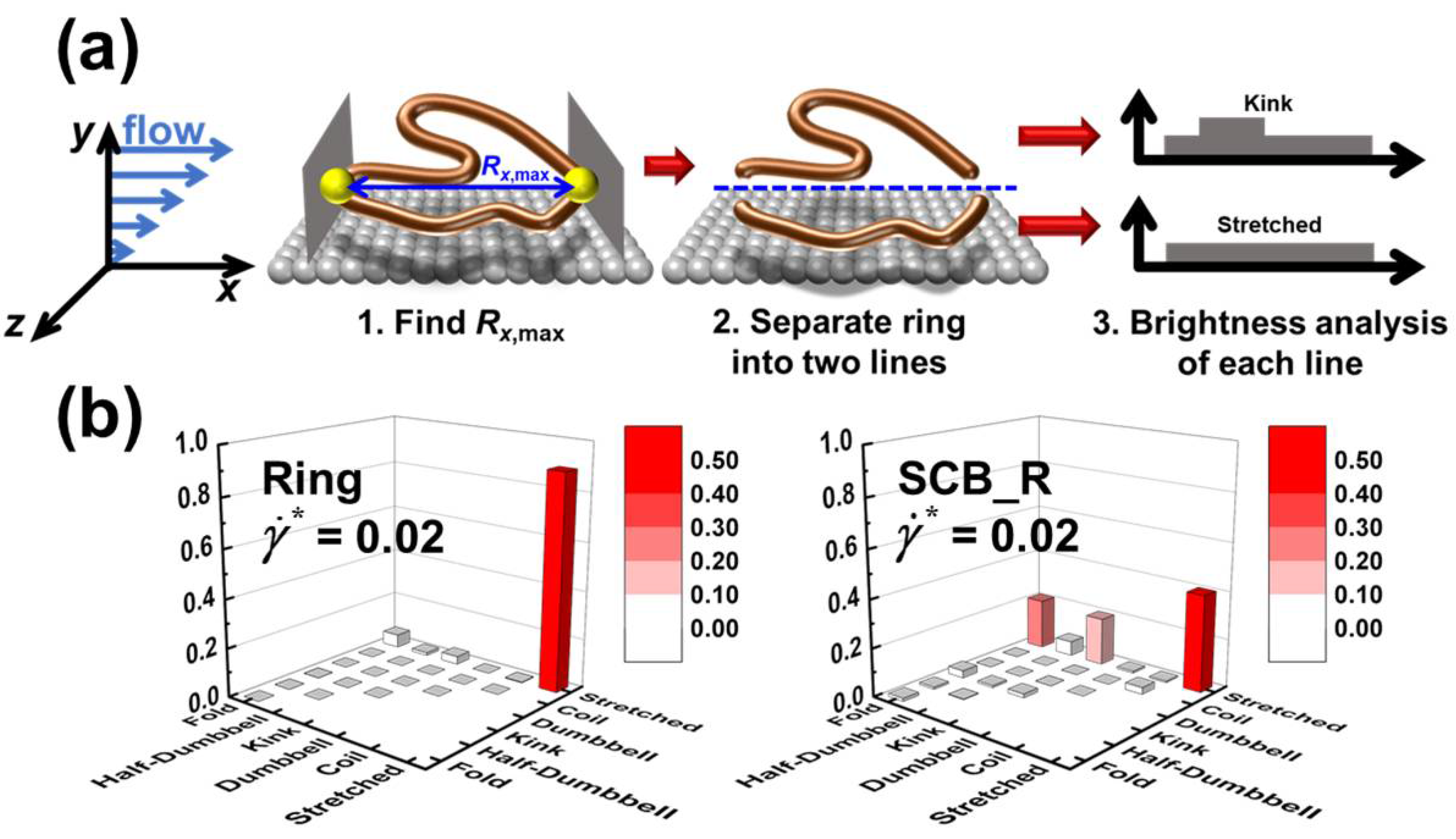 Polymers 12 03068 g005