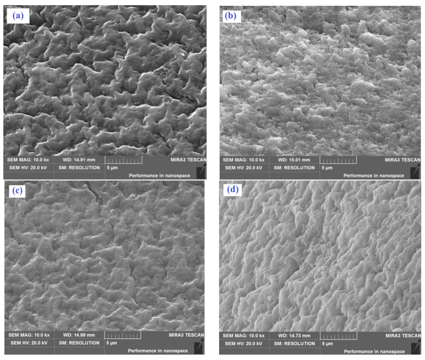 Polymers 13 00003 g002