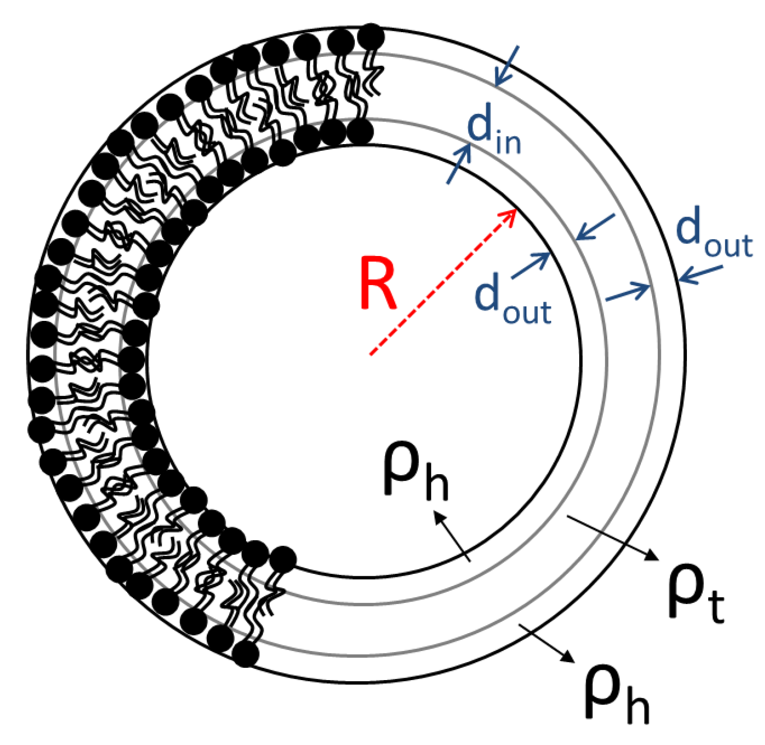 Polymers 13 00004 sch001