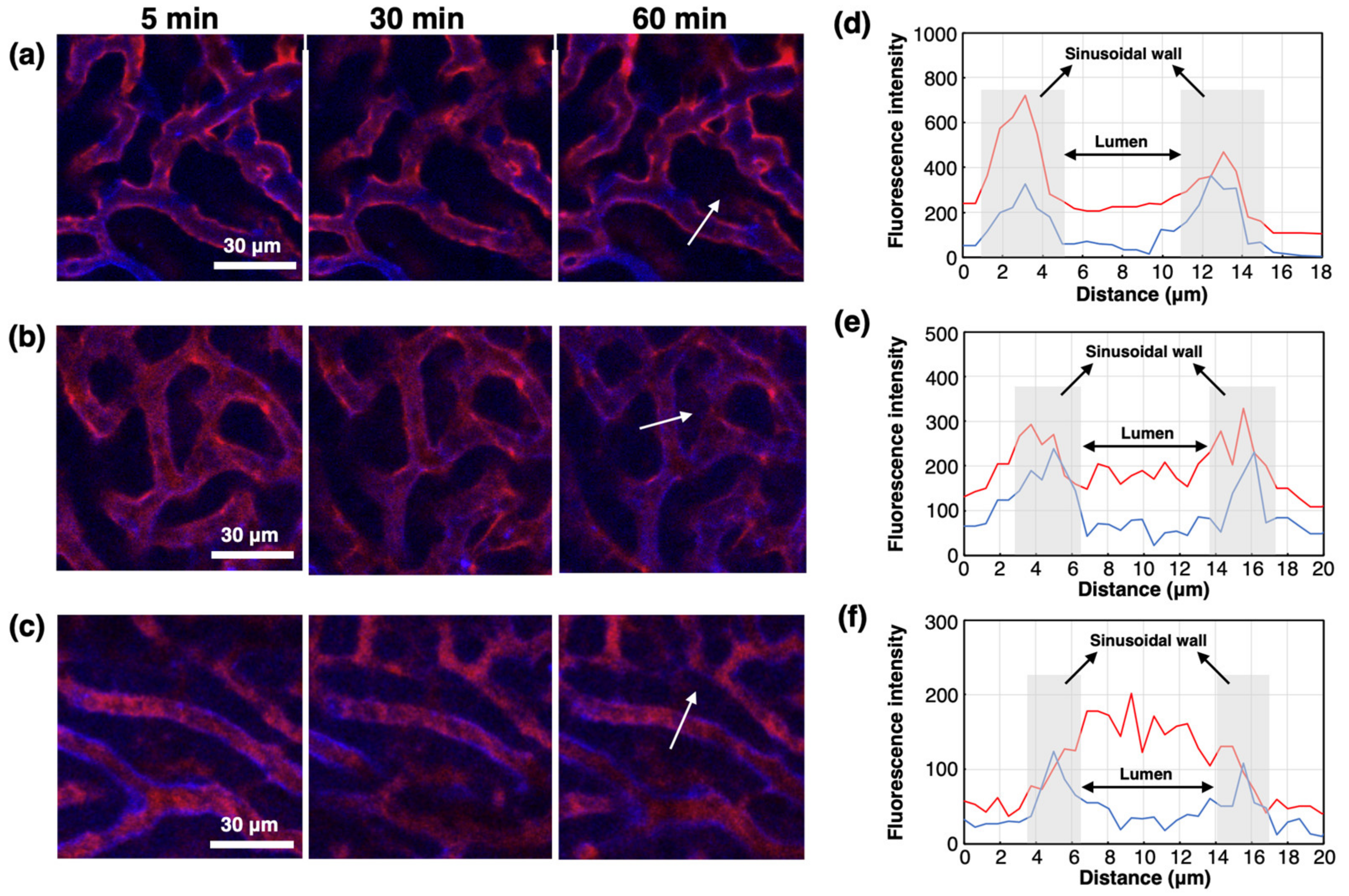 Polymers 13 00005 g004