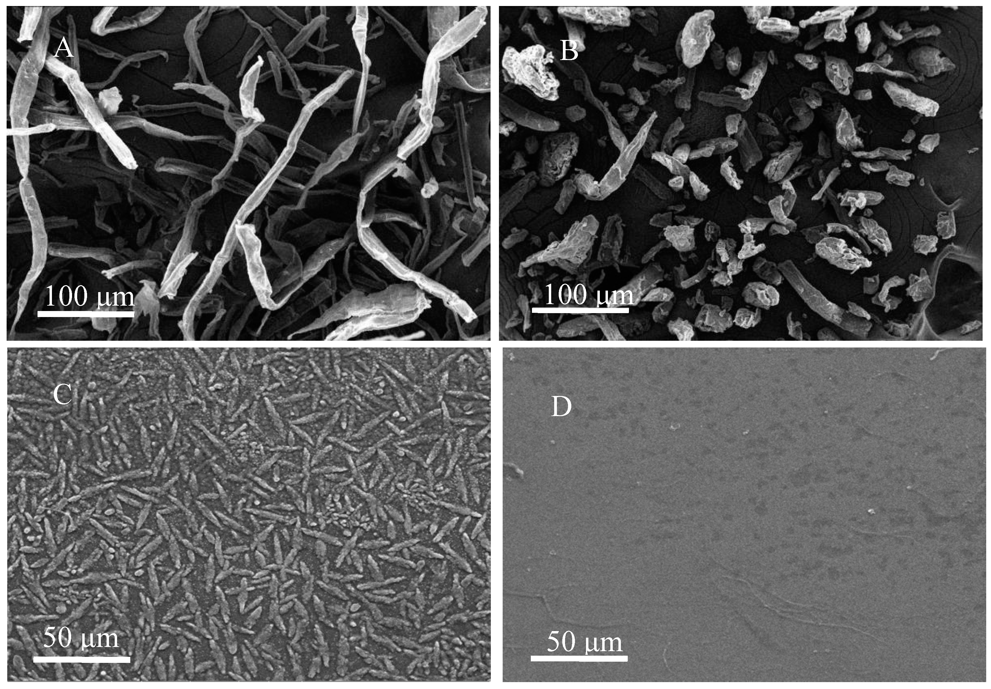 Polymers 13 00006 g002 Polymers 13 00006 g002