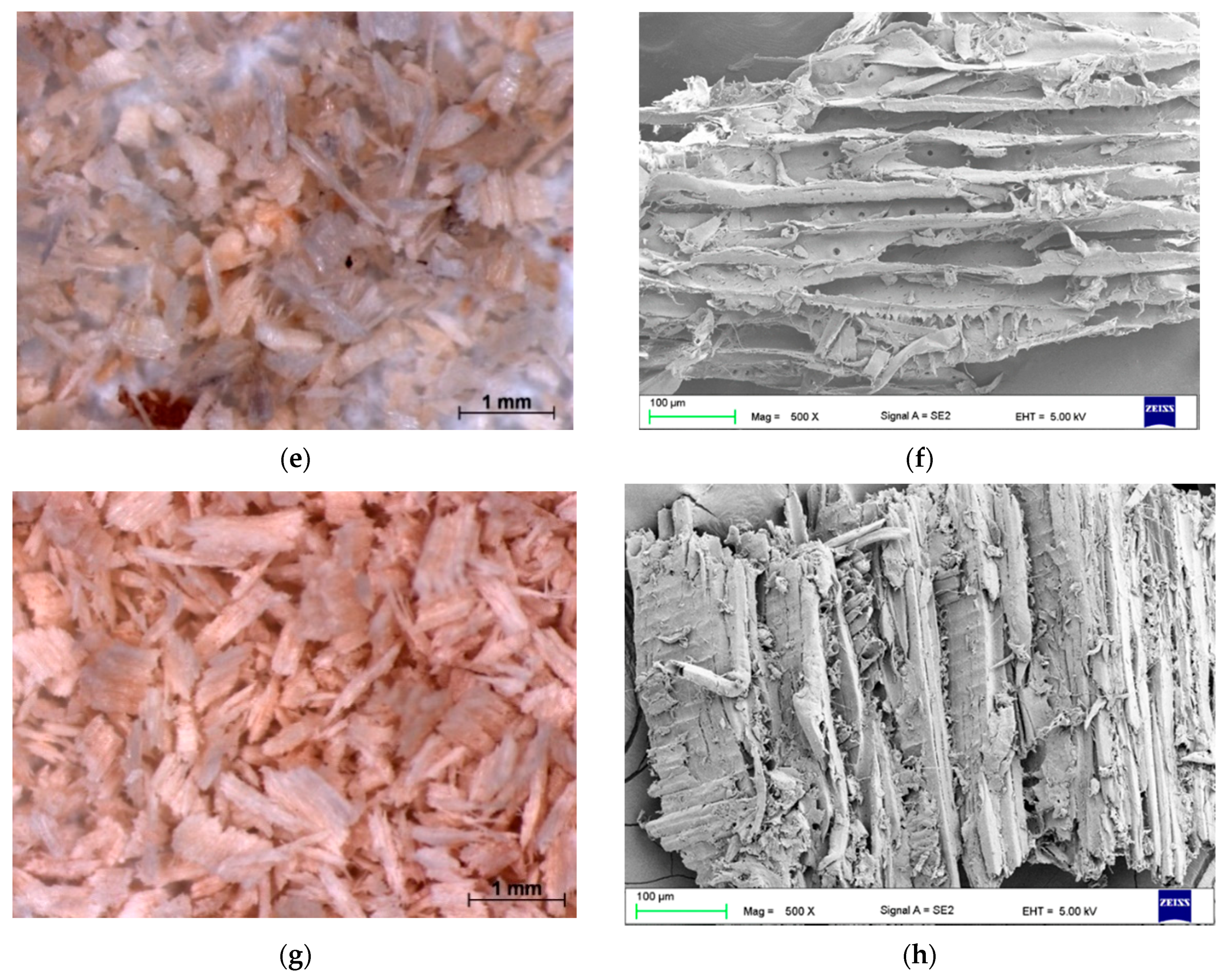 Polymers 13 00007 g002b