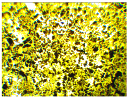 Polymers 13 00007 i003 Polymers 13 00007 i003