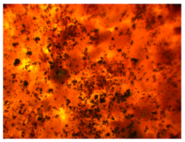 Polymers 13 00007 i004 Polymers 13 00007 i004