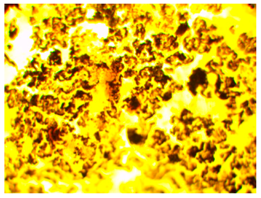 Polymers 13 00007 i006 Polymers 13 00007 i006