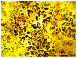 Polymers 13 00007 i008 Polymers 13 00007 i008