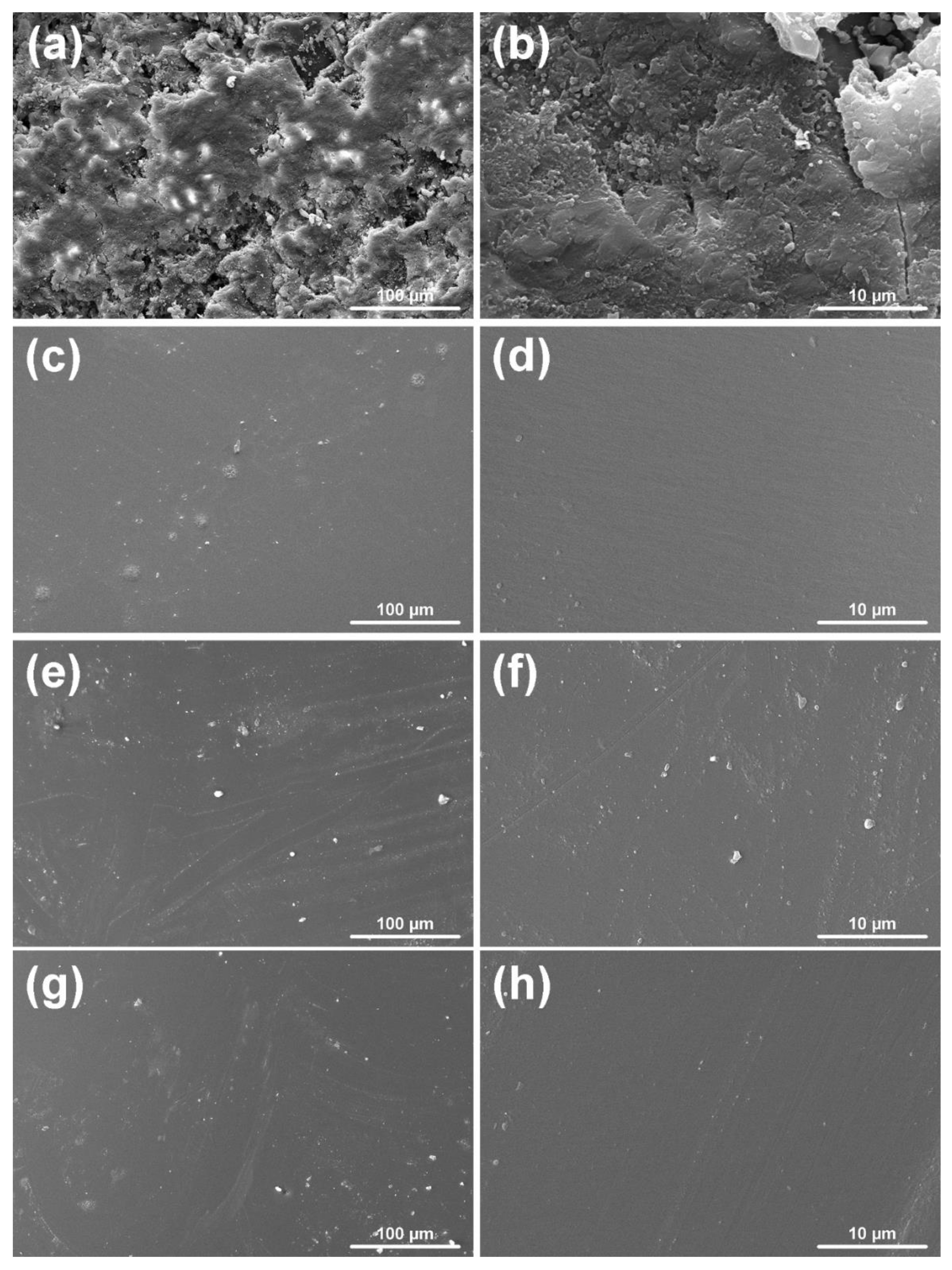 Polymers 13 00008 g012